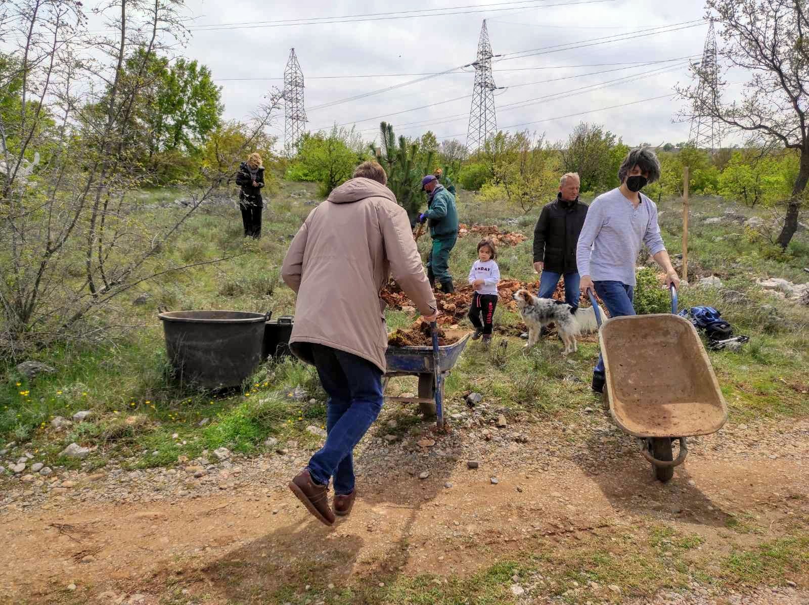 Organizovana akcija pošumljavanja dijela Malog brda