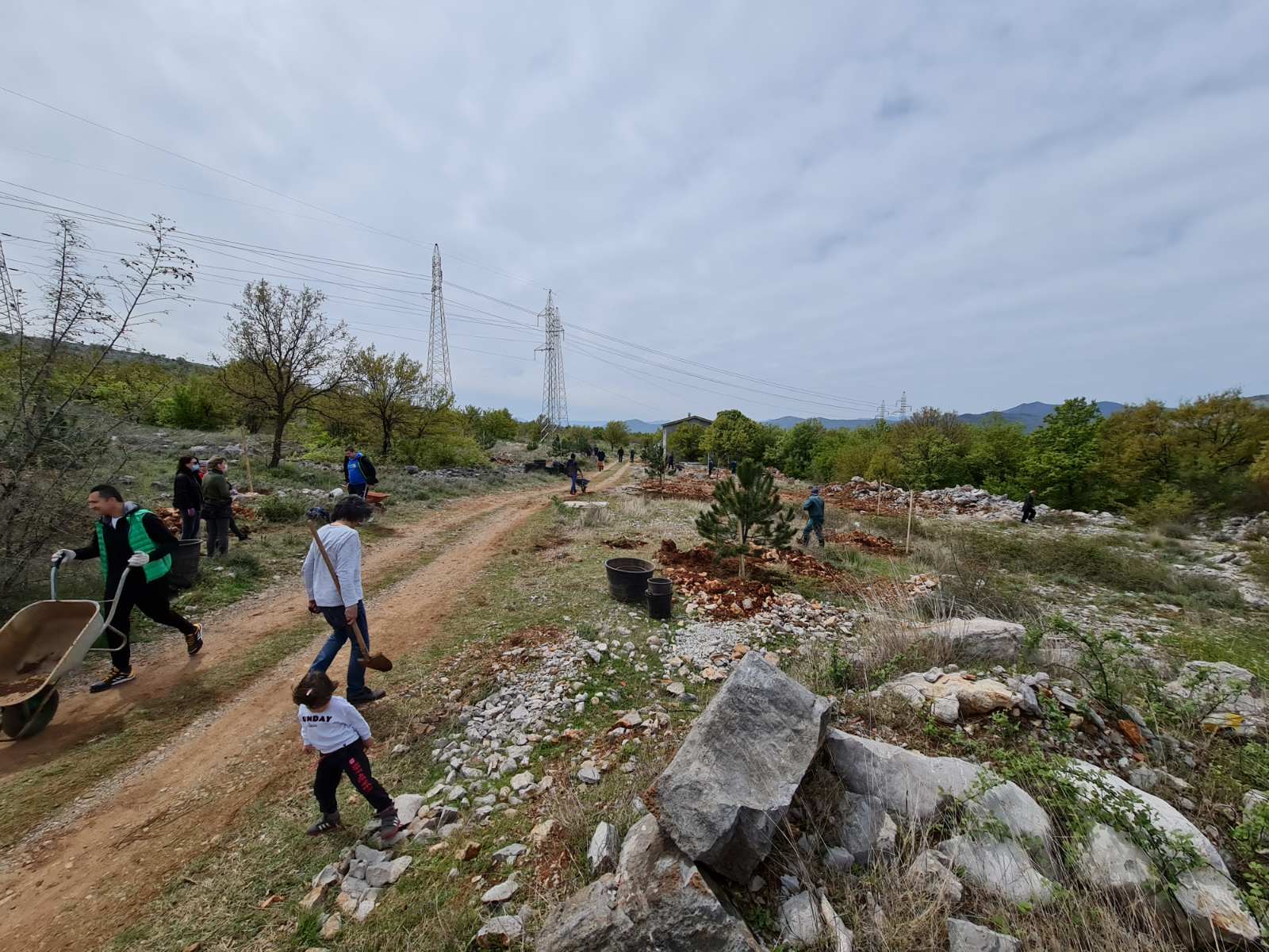Organizovana akcija pošumljavanja dijela Malog brda
