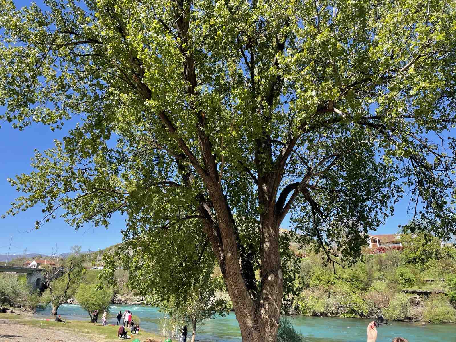 Plaža u Rogamima dobila potpuno novi izgled; Jedno od najposjećenijih izletišta u Podgorici spremno za posjetioce