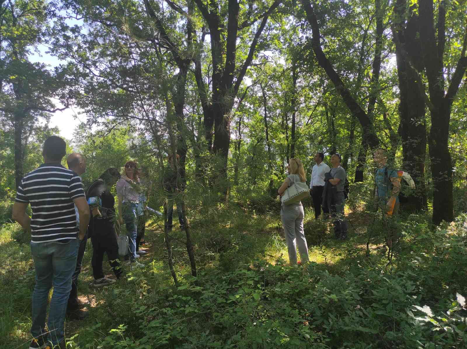 Održana radionica o upravljanju urbanim šumama u okviru projekta URBforDan