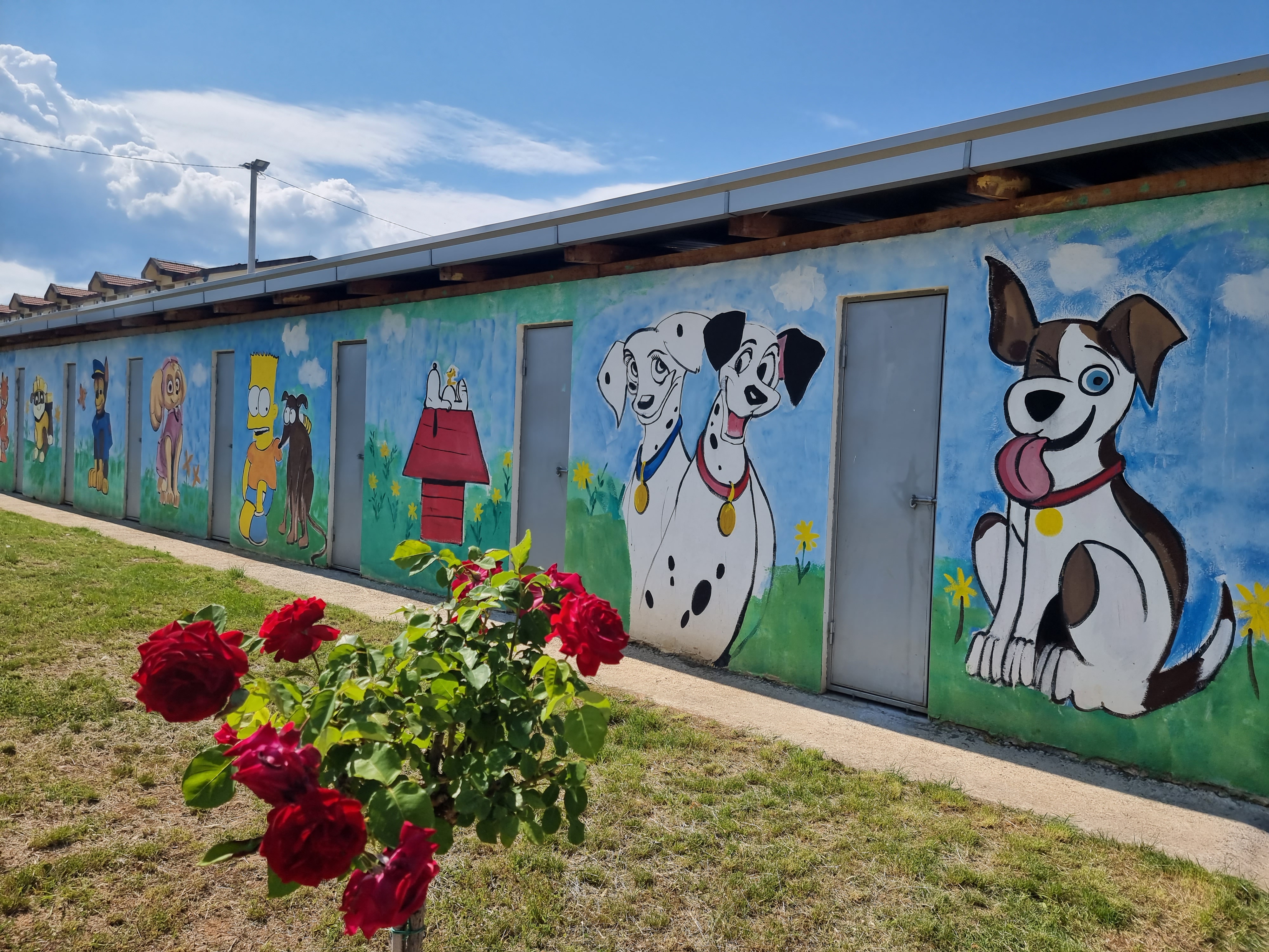 Dvadeset godina uspješnog rada Skloništa za napuštene i izgubljene kućne ljubimce na Vrelima ribničkim