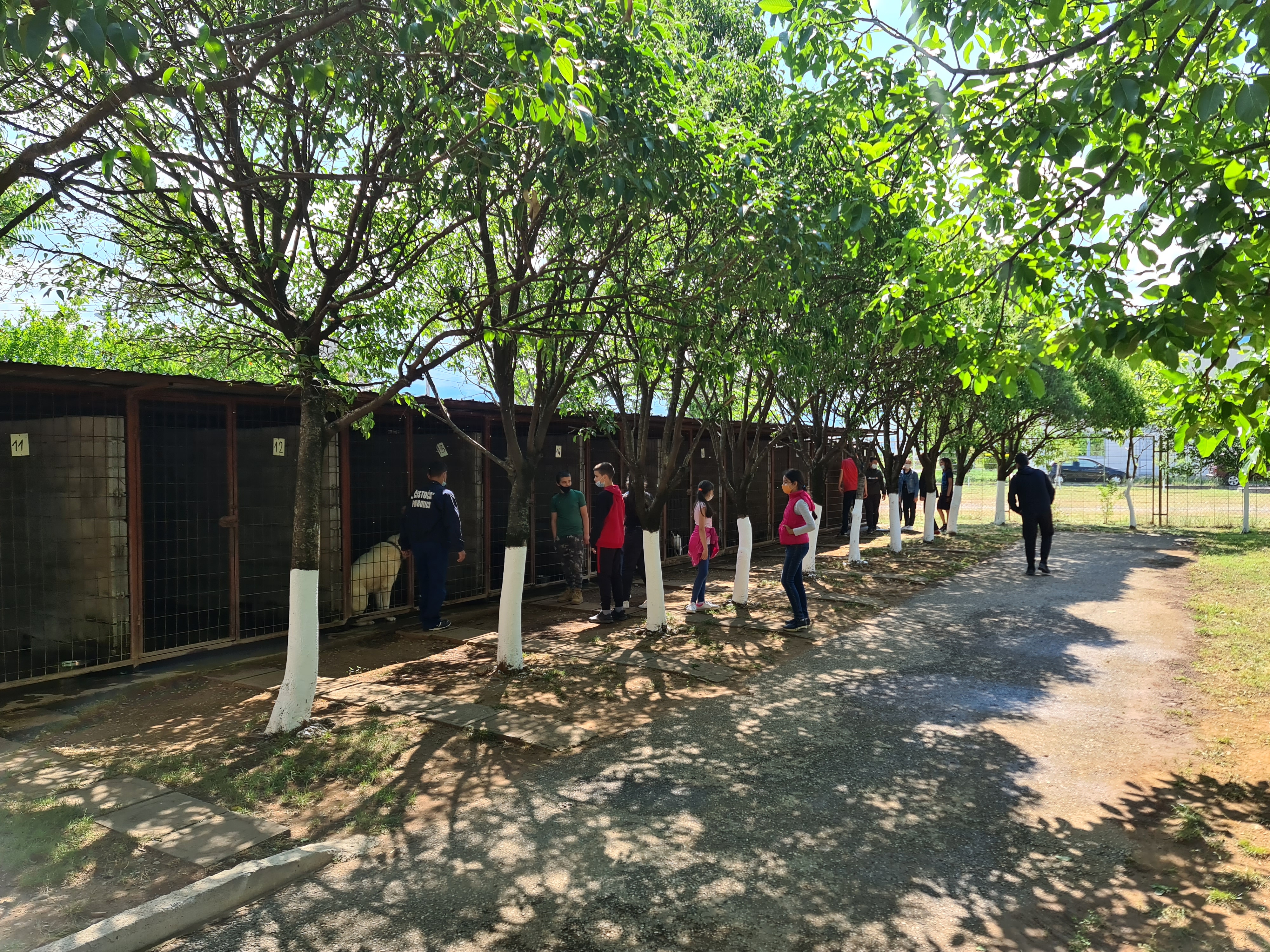 Dvadeset godina uspješnog rada Skloništa za napuštene i izgubljene kućne ljubimce na Vrelima ribničkim