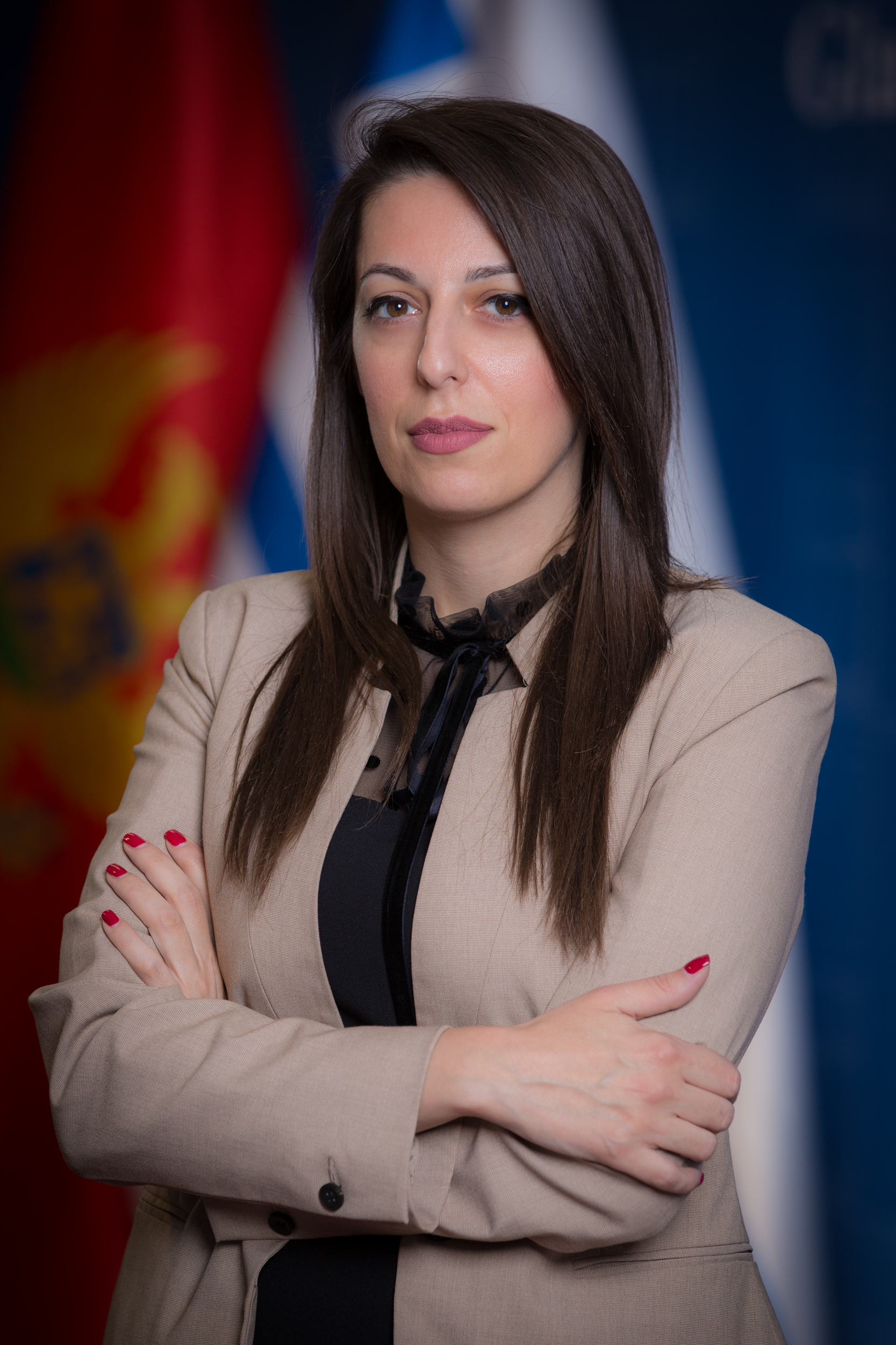 Vujačić na sastanku ZSO Komiteta regiona Evropske unije i Crne Gore: Lokalne uprave aktivnije uključiti u proces proširenja EU