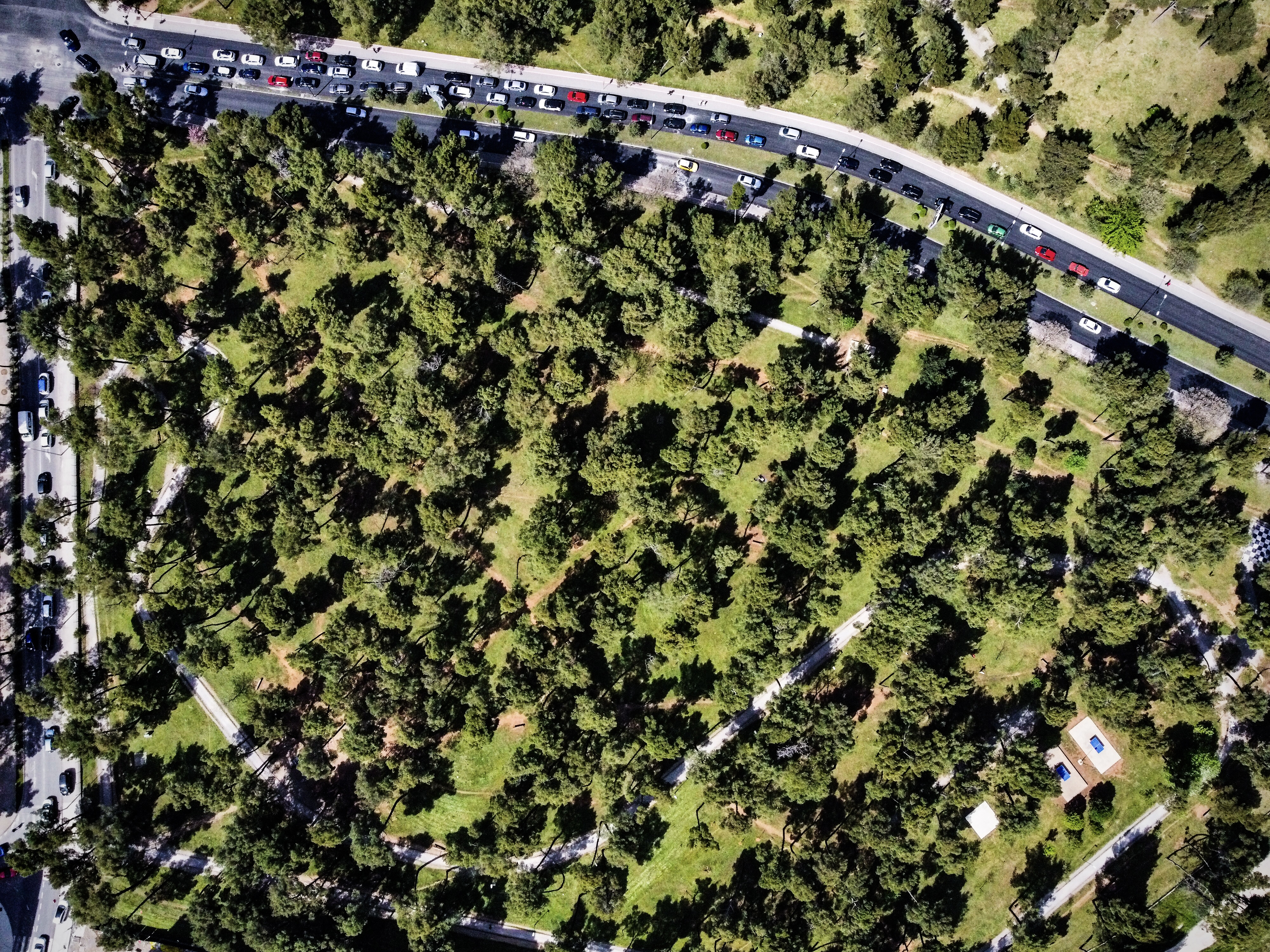 Glavni grad formirao više od 140.000m2 novih zelenih površina