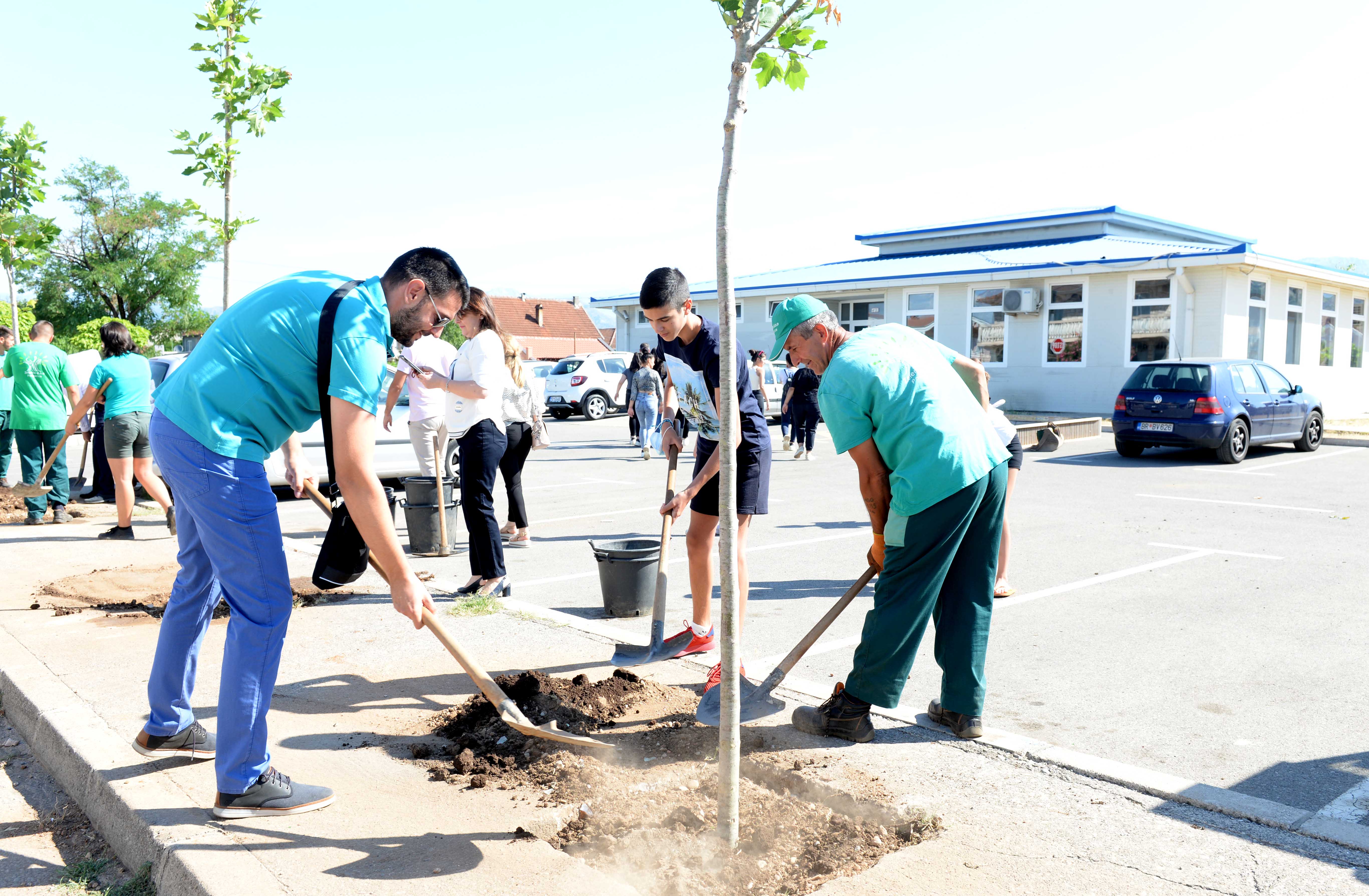Plato ispred Narodne kuhinje oplemenjen novim sadnicama