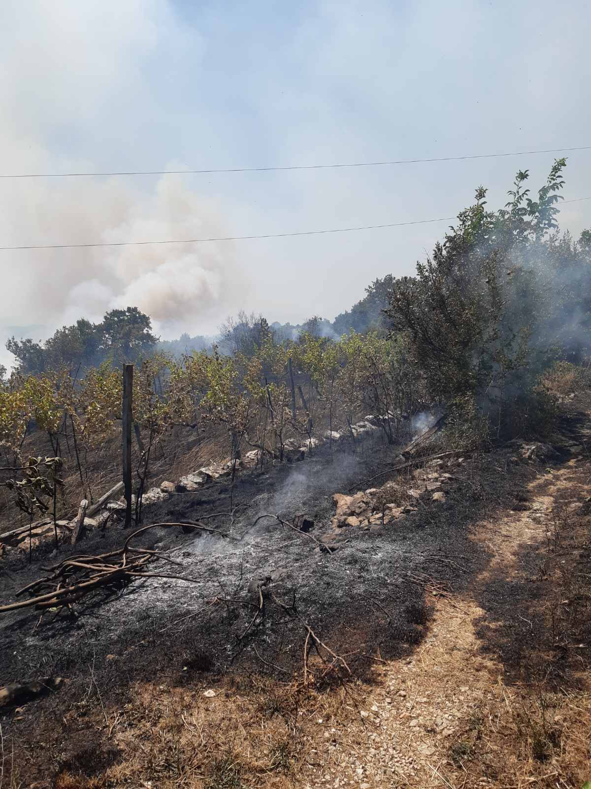 Služba zaštite i spašavanja na terenu; Požar u Piperima i dalje aktivan
