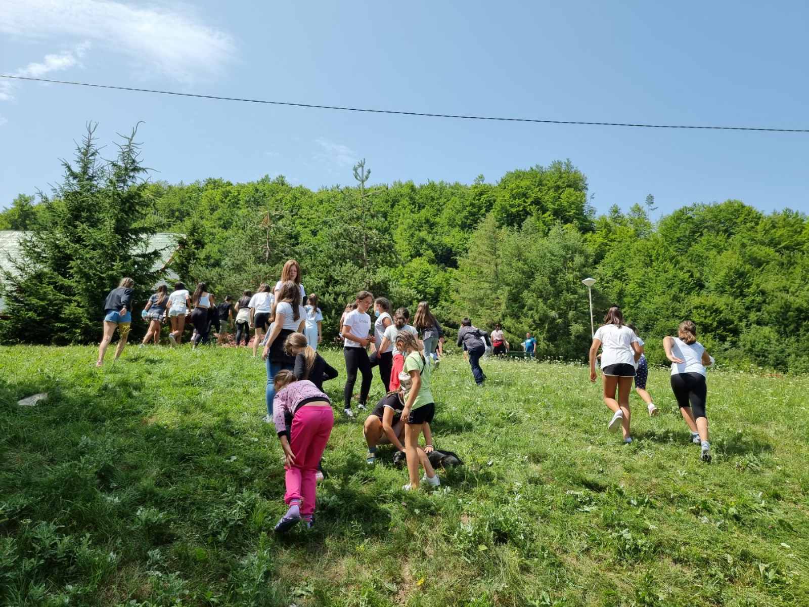 Zelenilo, Dječji savez i gorani u akciji ozelenjavanja Veruše