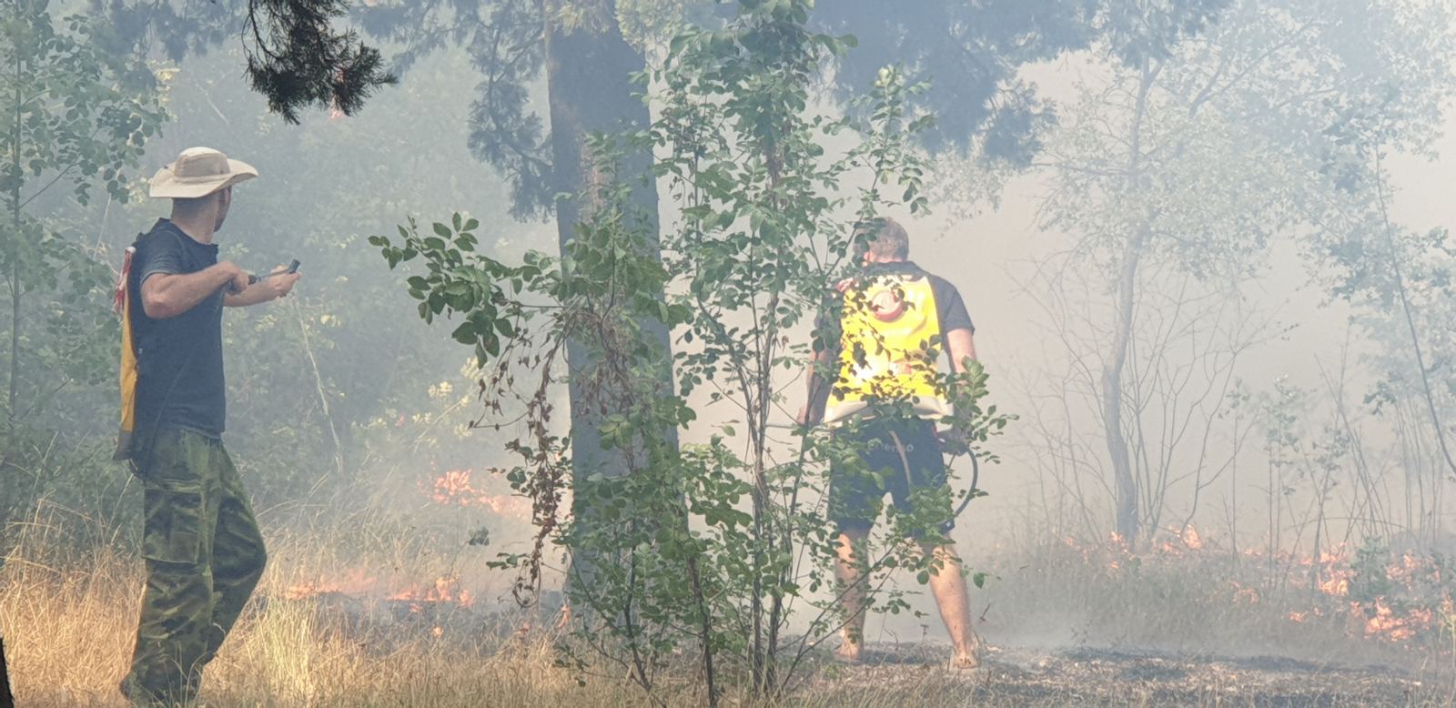 Požar na Gorici trenutno pod kontrolom; Očekujemo dodatnu podršku nadležnih državnih organa