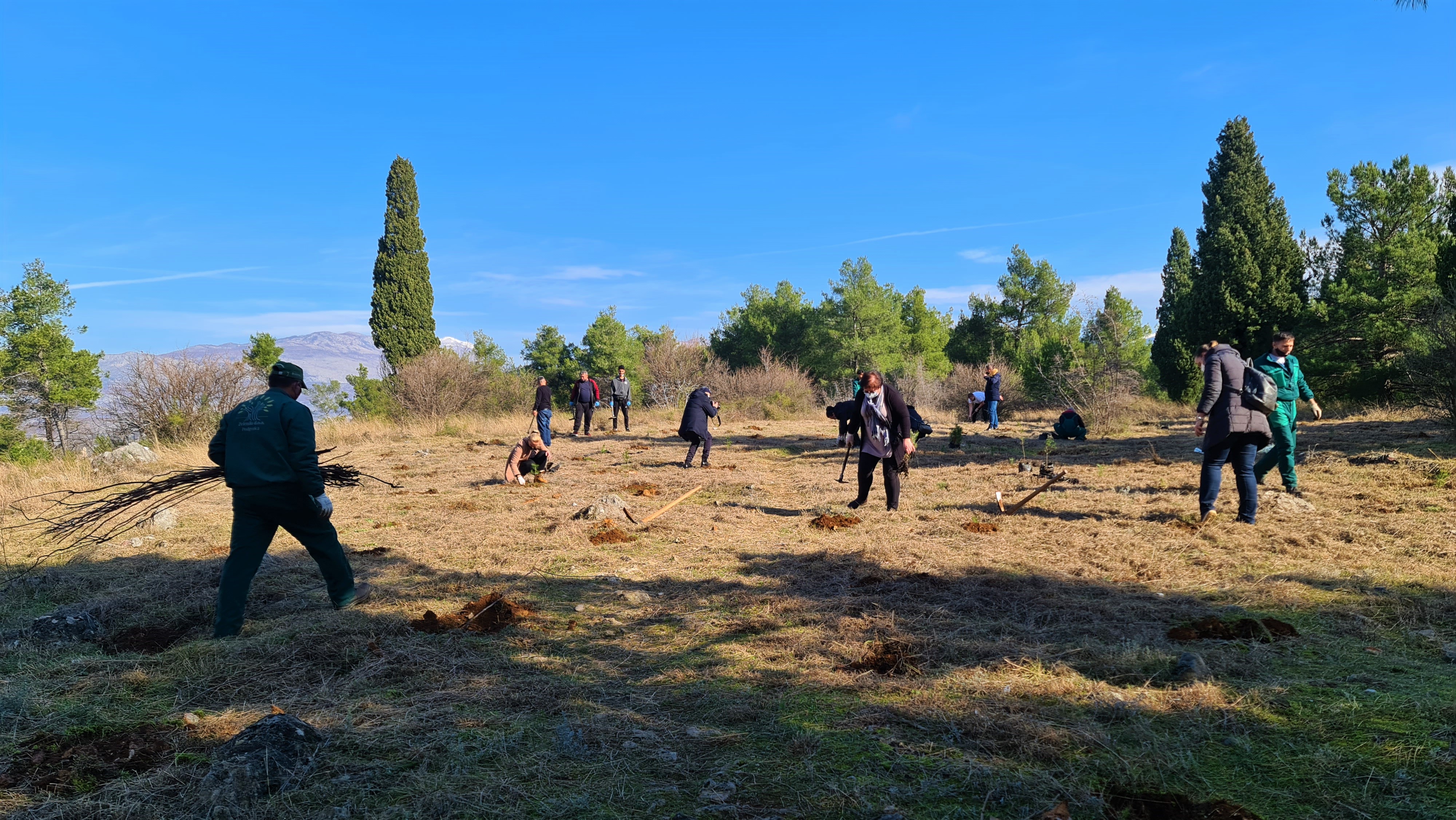 Glavni grad organizuje masovnu akciju pošumljavanja Gorice
