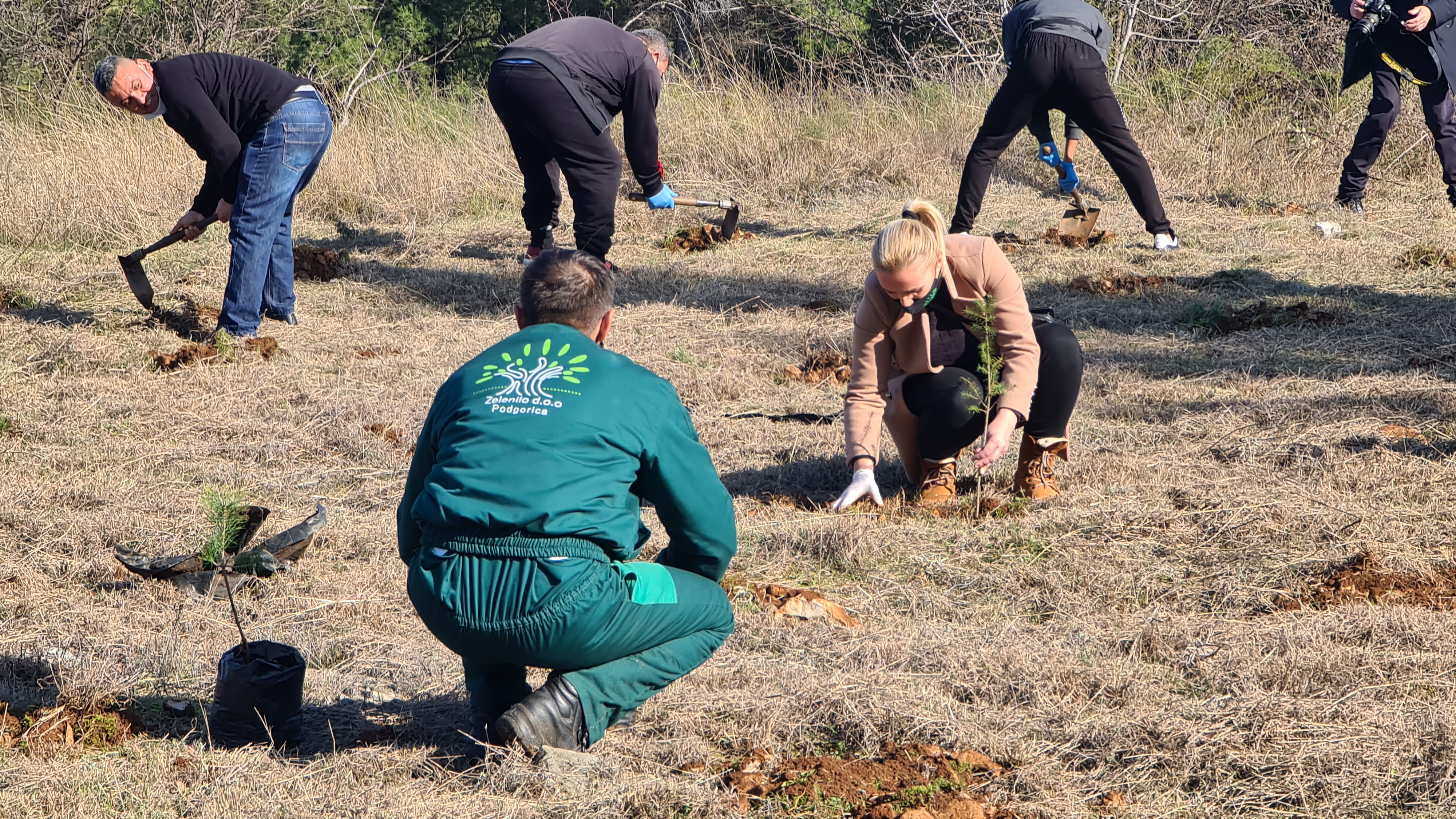 Glavni grad organizuje masovnu akciju pošumljavanja Gorice