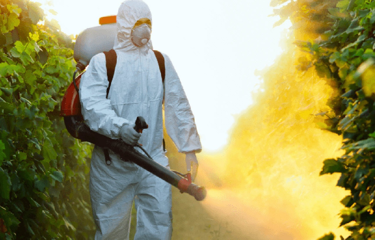 Novi termin dezinsekcije na teritoriji Podgorice