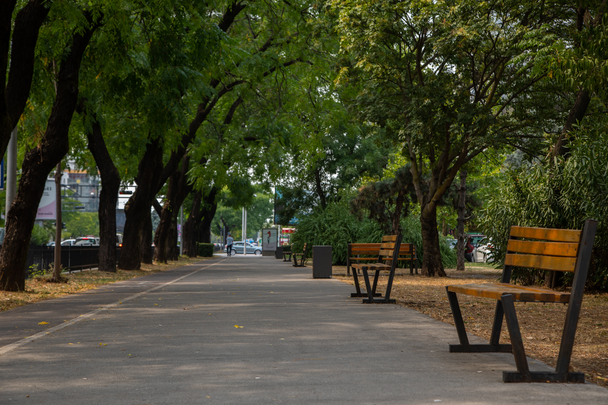 Bulevari Podgorice pišu posebne priče