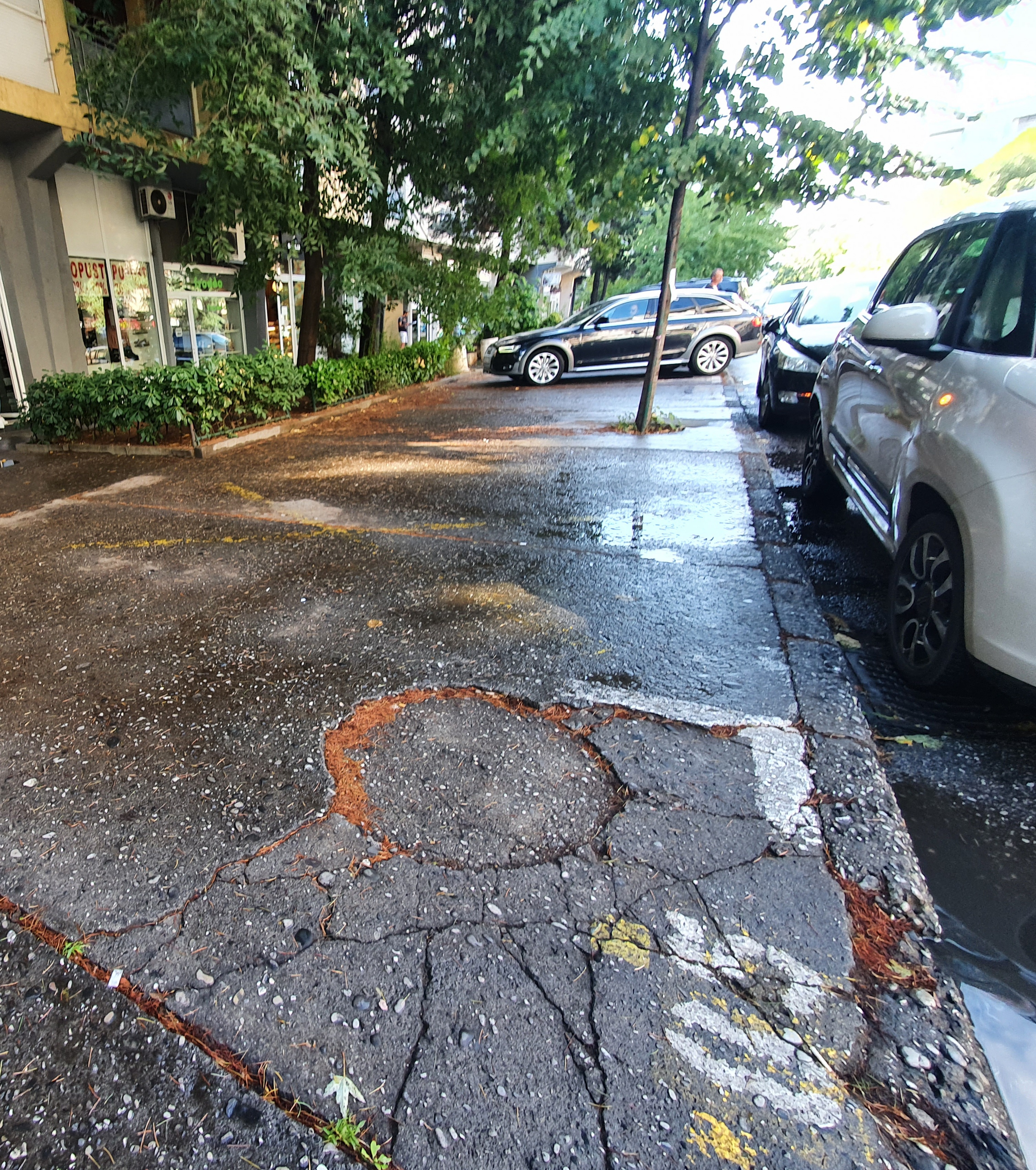 Počeli radovi na sanaciji Ulice Ivana Vujoševića