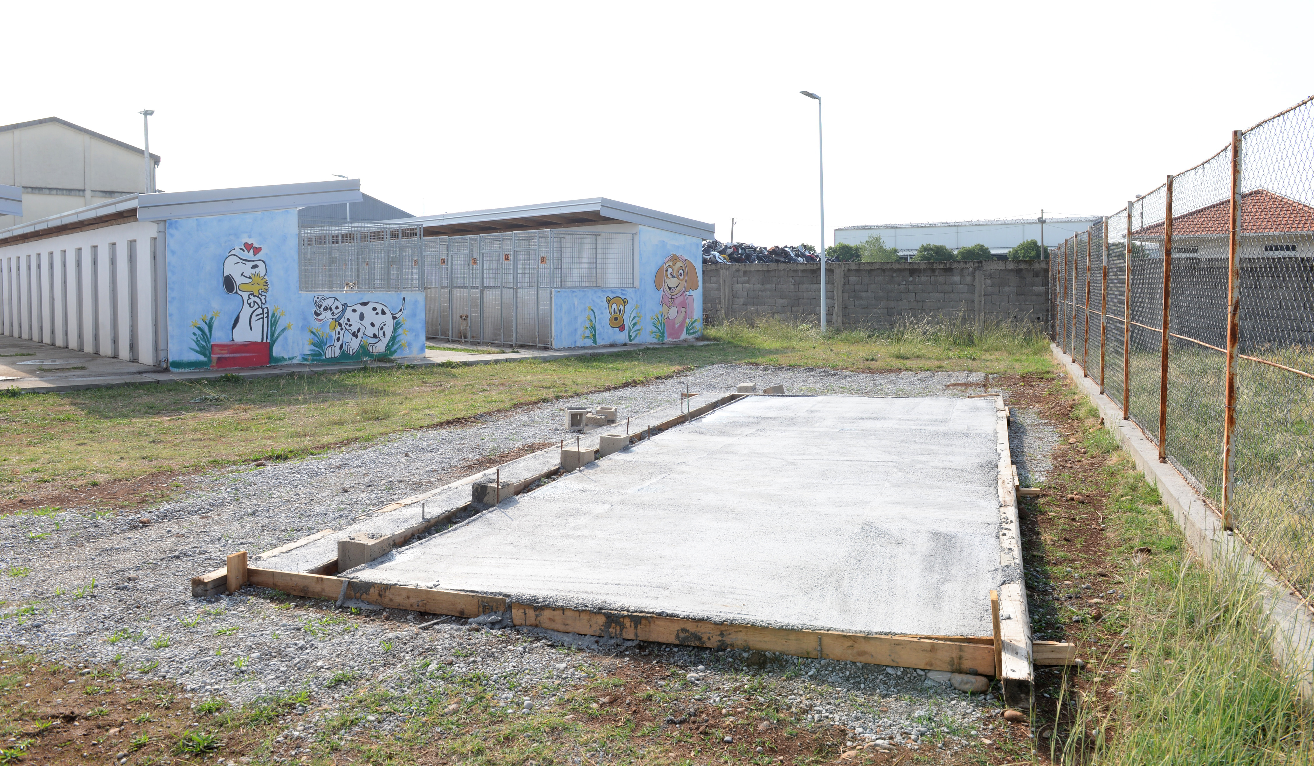 Podgorica uskoro dobija pansion za pse