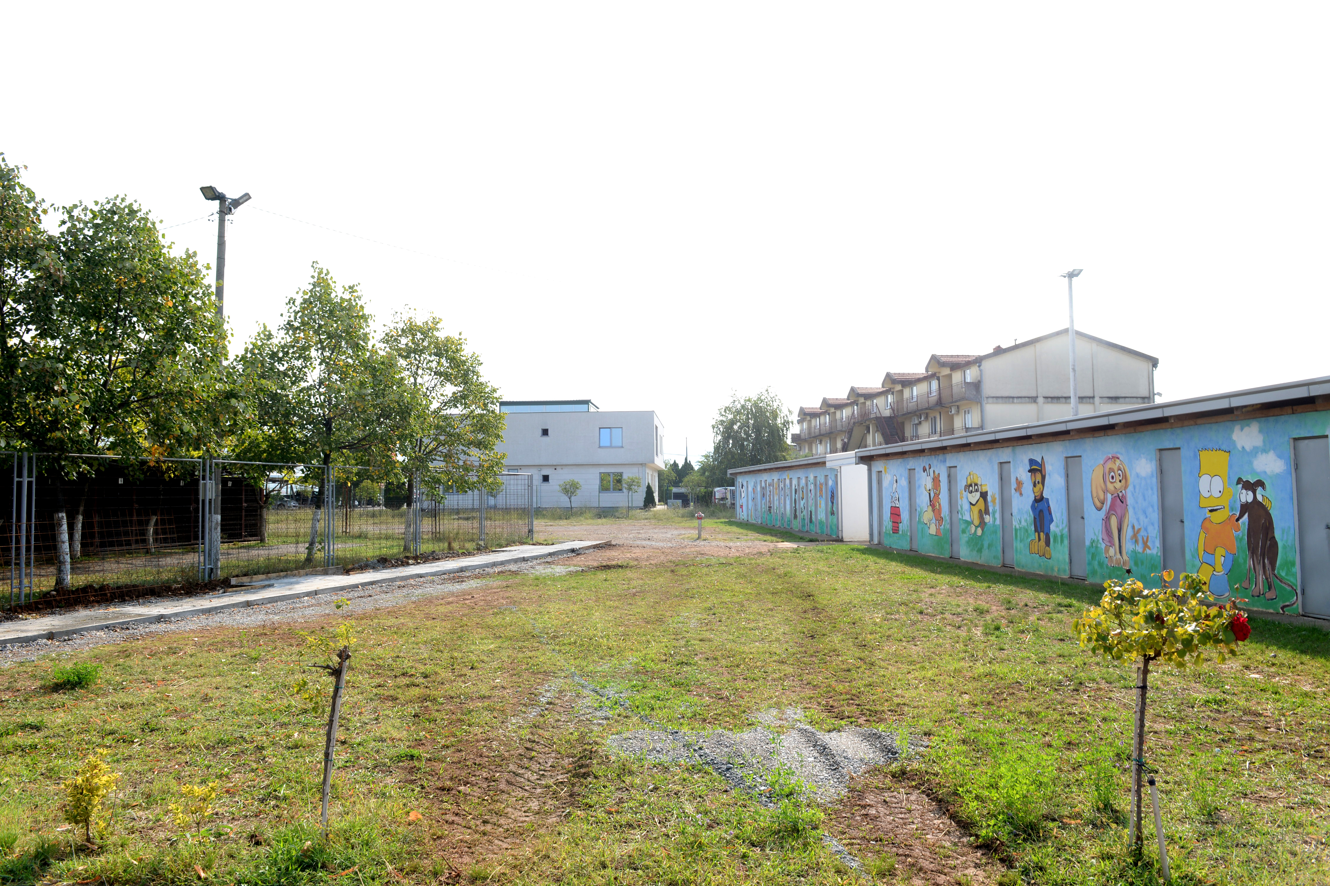 Podgorica uskoro dobija pansion za pse