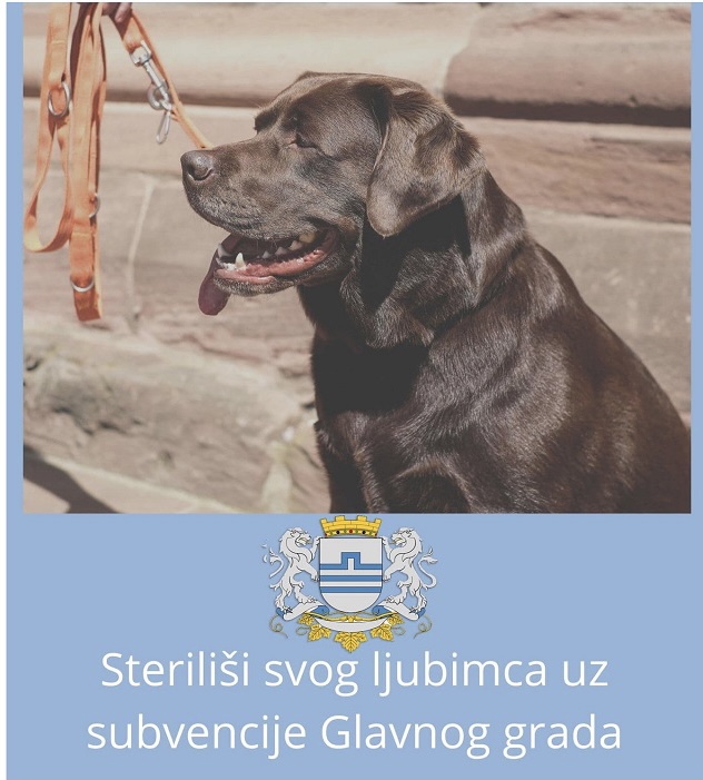 Zbog velikog interesovanja produžen rok za prijavu na javni poziv za subvencije za sterilizaciju vlasničkih pasa