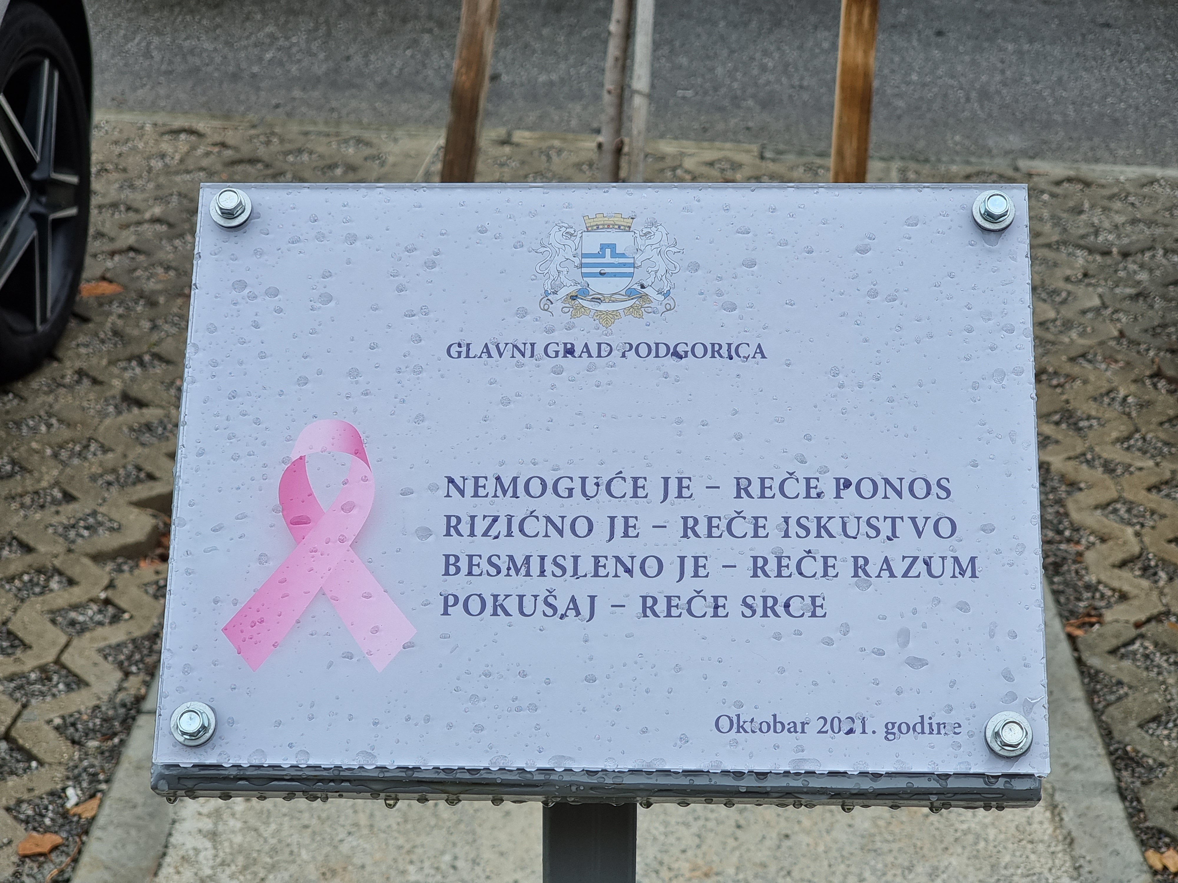 Brojnim aktivnostima i pokretanjem novog socijalnog servisa Glavni grad obilježio mjesec borbe protiv karcinoma dojke; Nisi sama!