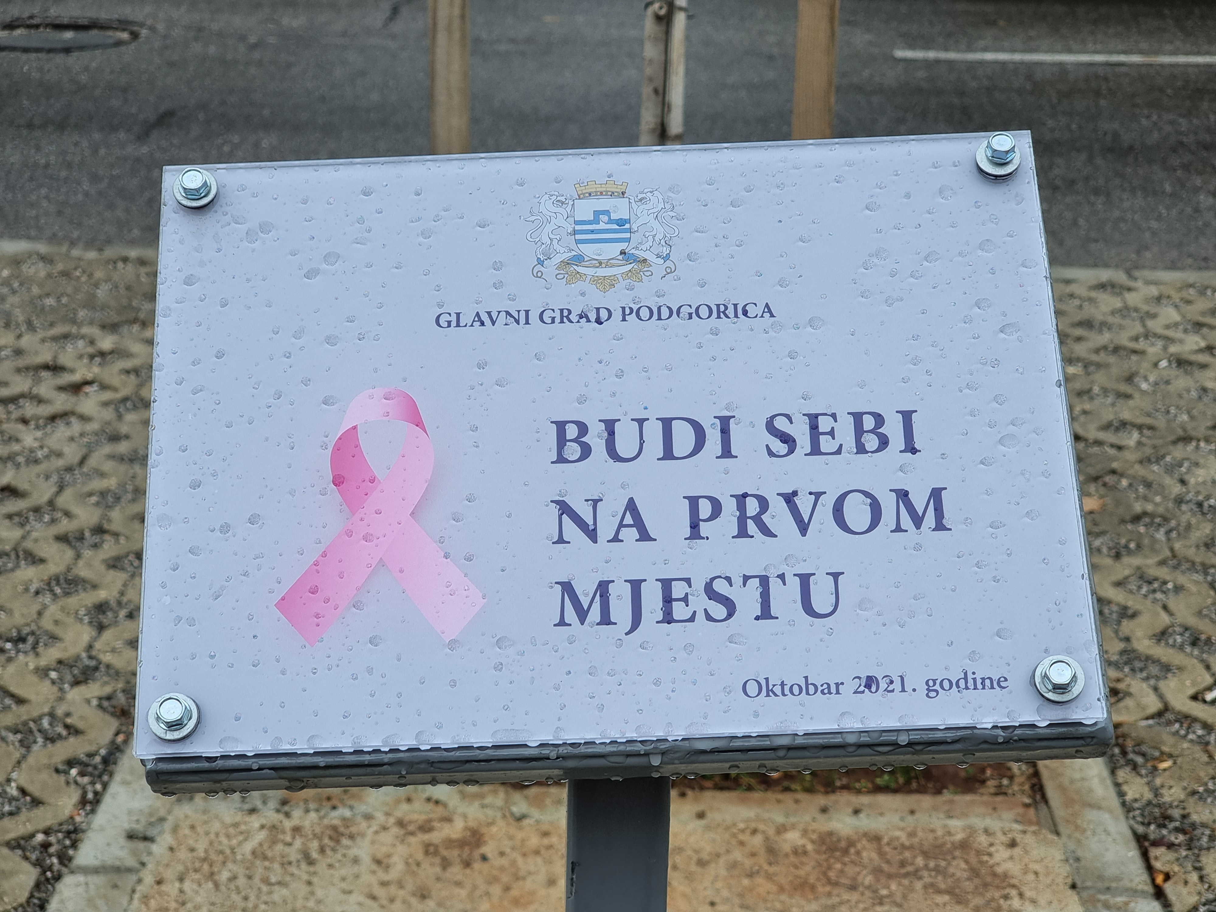 Brojnim aktivnostima i pokretanjem novog socijalnog servisa Glavni grad obilježio mjesec borbe protiv karcinoma dojke; Nisi sama!