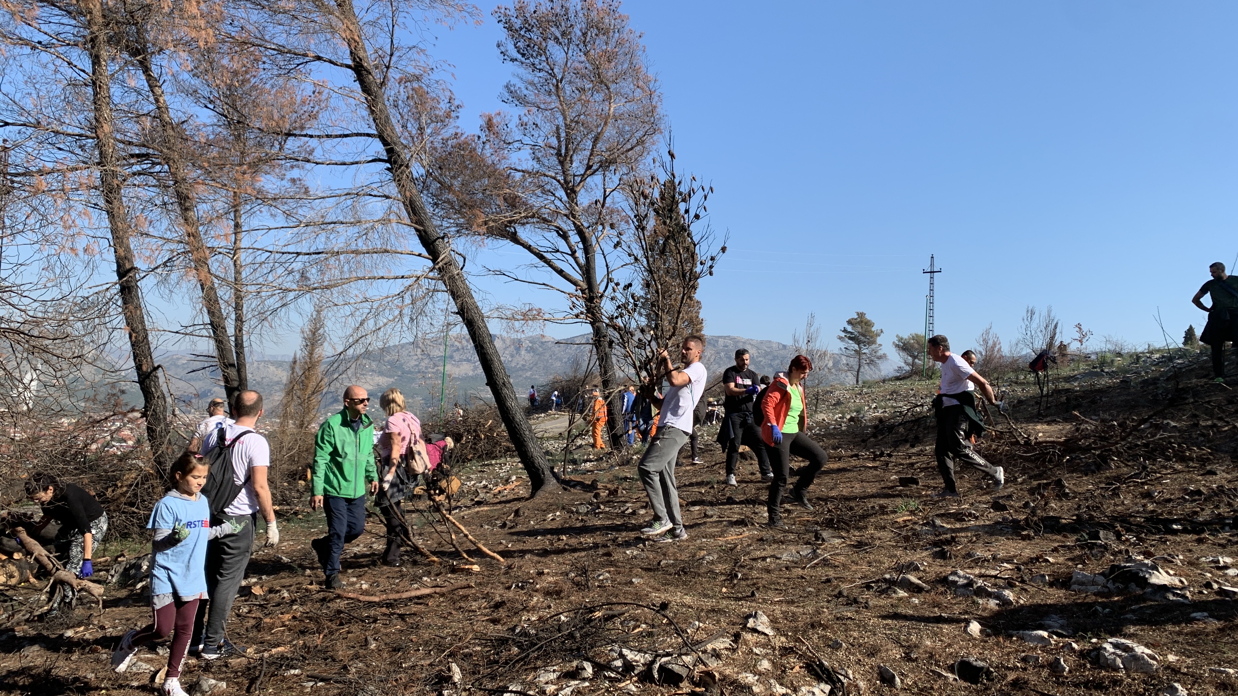 Stvorene pretpostavke za revitalizaciju brda Gorica; Sadnja tokom novembra