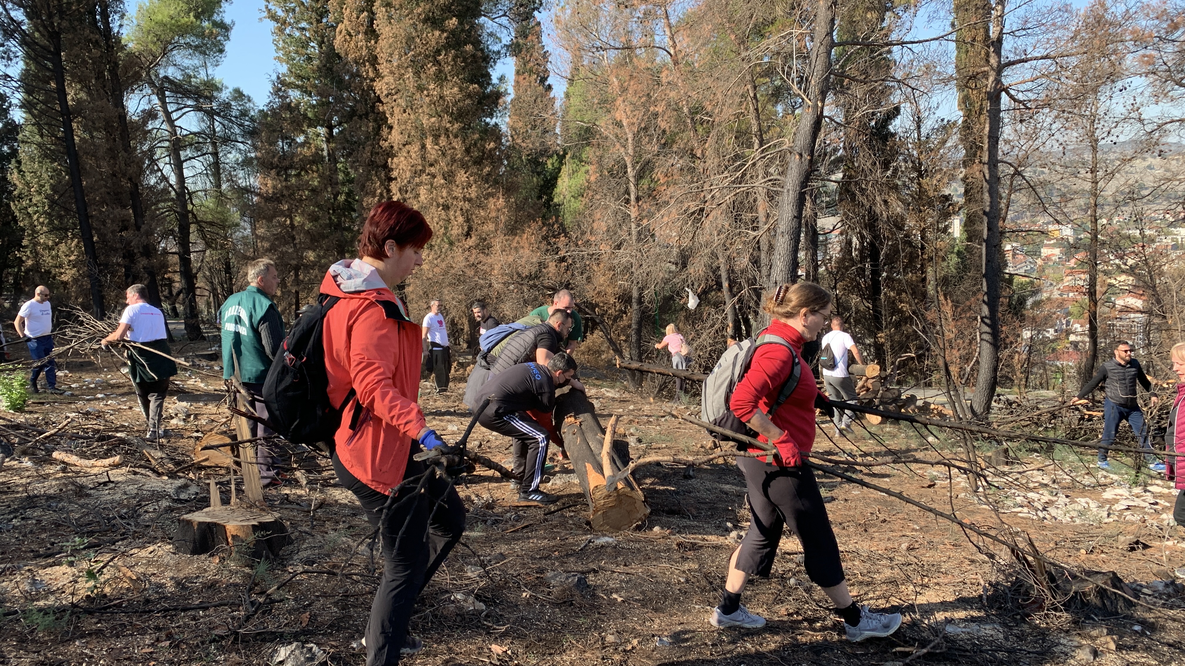 Stvorene pretpostavke za revitalizaciju brda Gorica; Sadnja tokom novembra