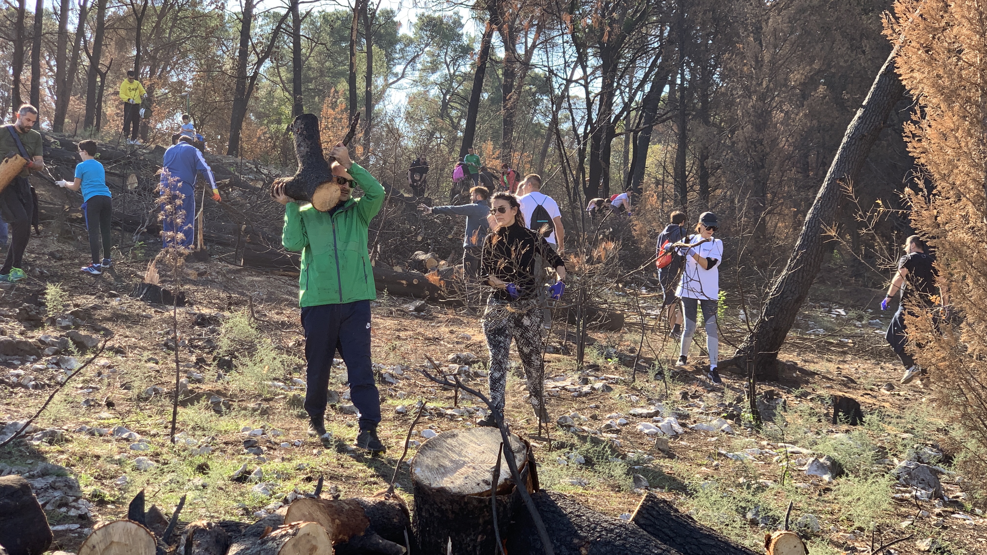 Stvorene pretpostavke za revitalizaciju brda Gorica; Sadnja tokom novembra