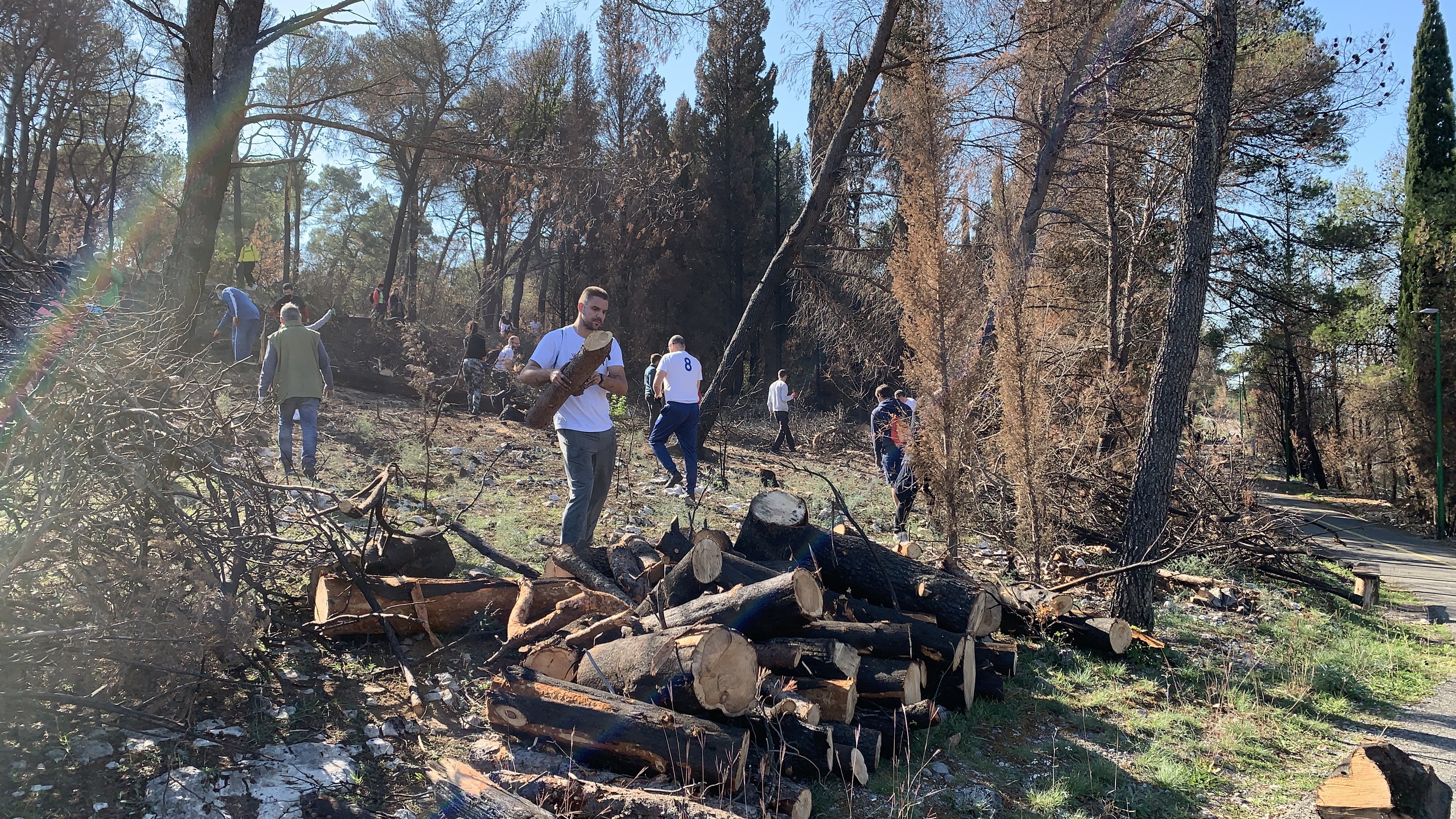 Stvorene pretpostavke za revitalizaciju brda Gorica; Sadnja tokom novembra