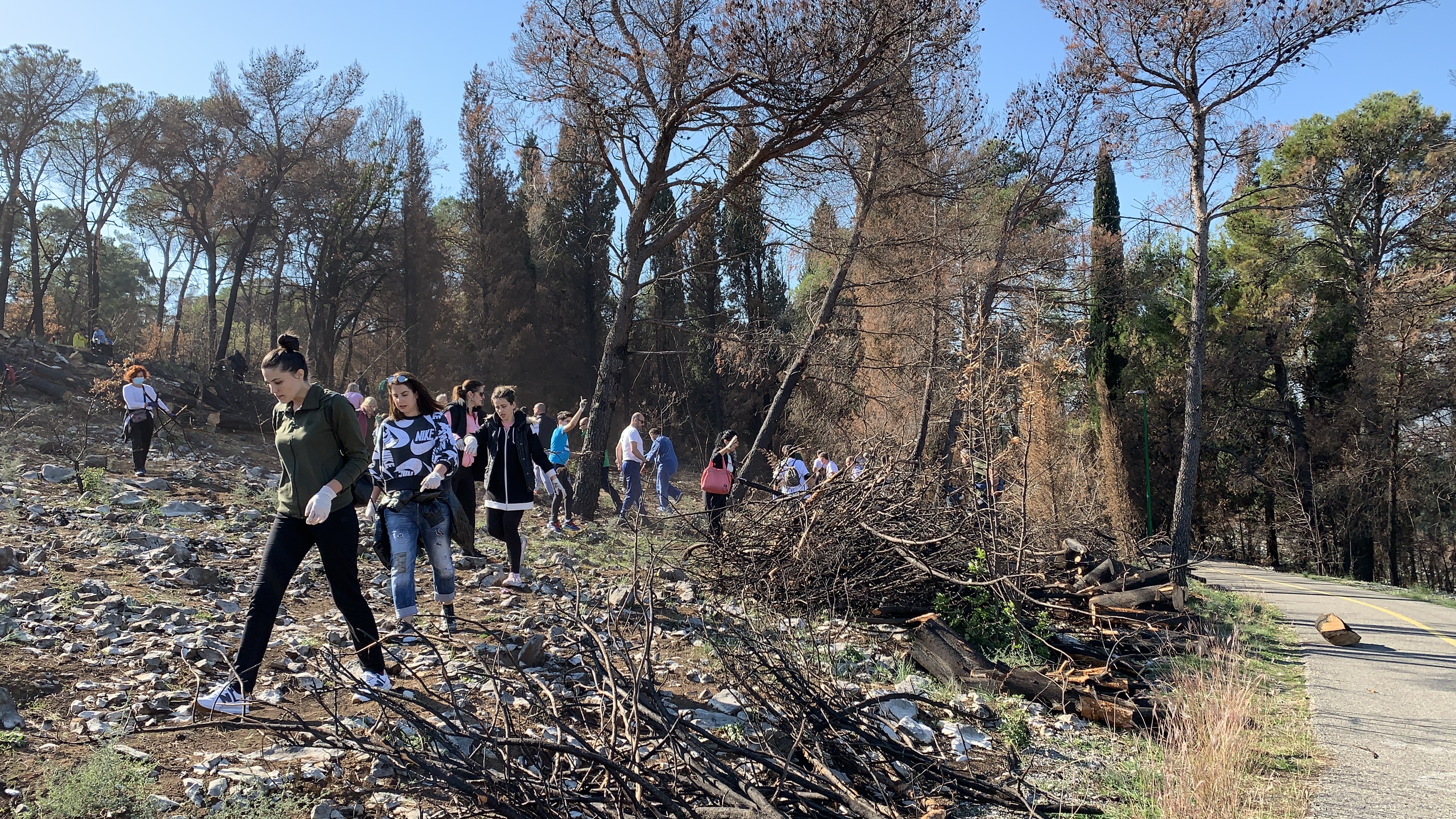 Stvorene pretpostavke za revitalizaciju brda Gorica; Sadnja tokom novembra