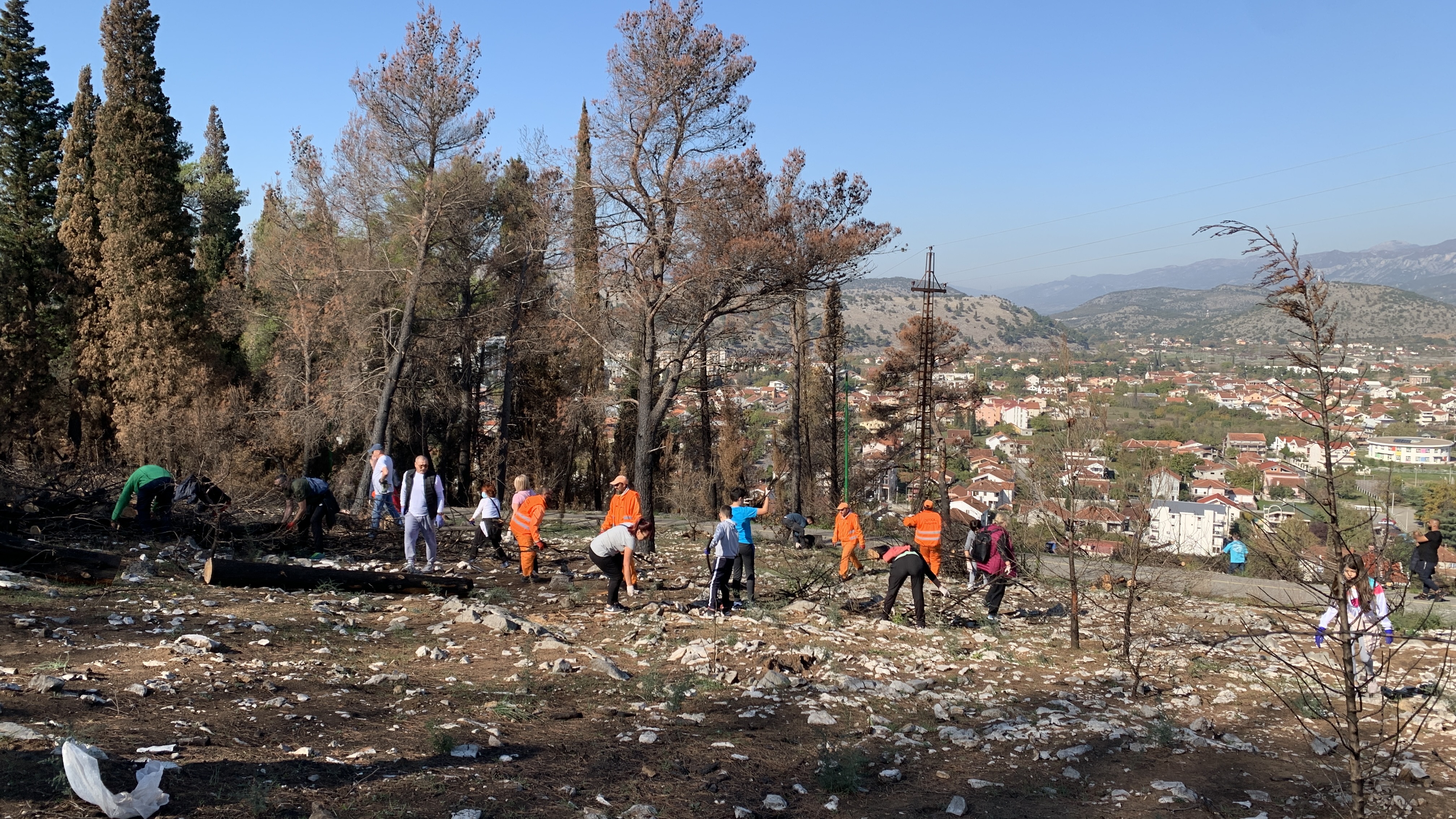 Stvorene pretpostavke za revitalizaciju brda Gorica; Sadnja tokom novembra