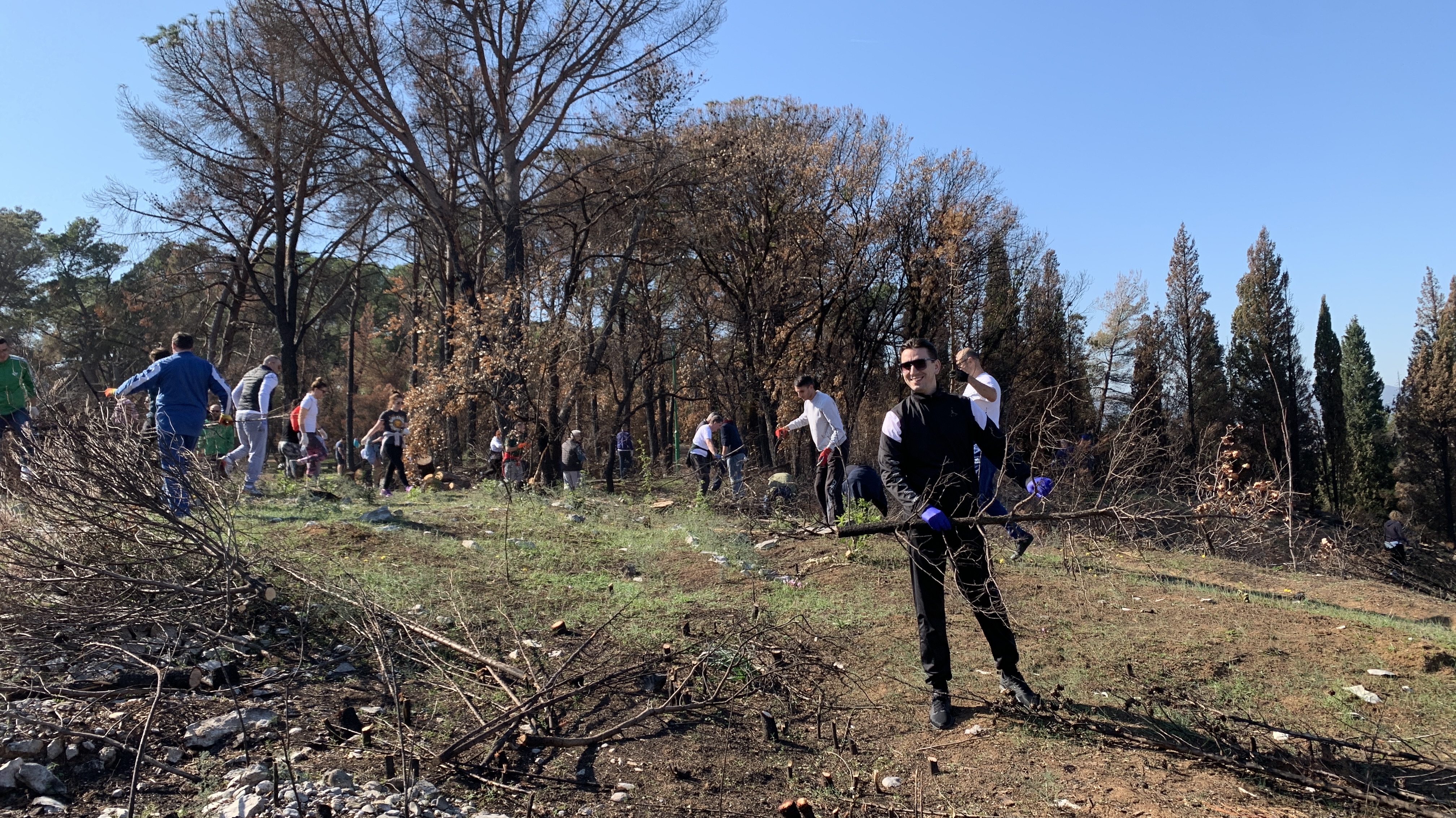 Stvorene pretpostavke za revitalizaciju brda Gorica; Sadnja tokom novembra