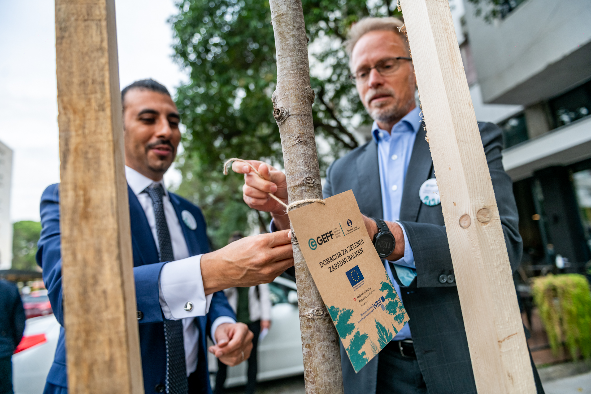 Kroz program finansiranja zelene ekonomije Zapadnog Balkana u Podgorici zasađeno 10 stabala lipe