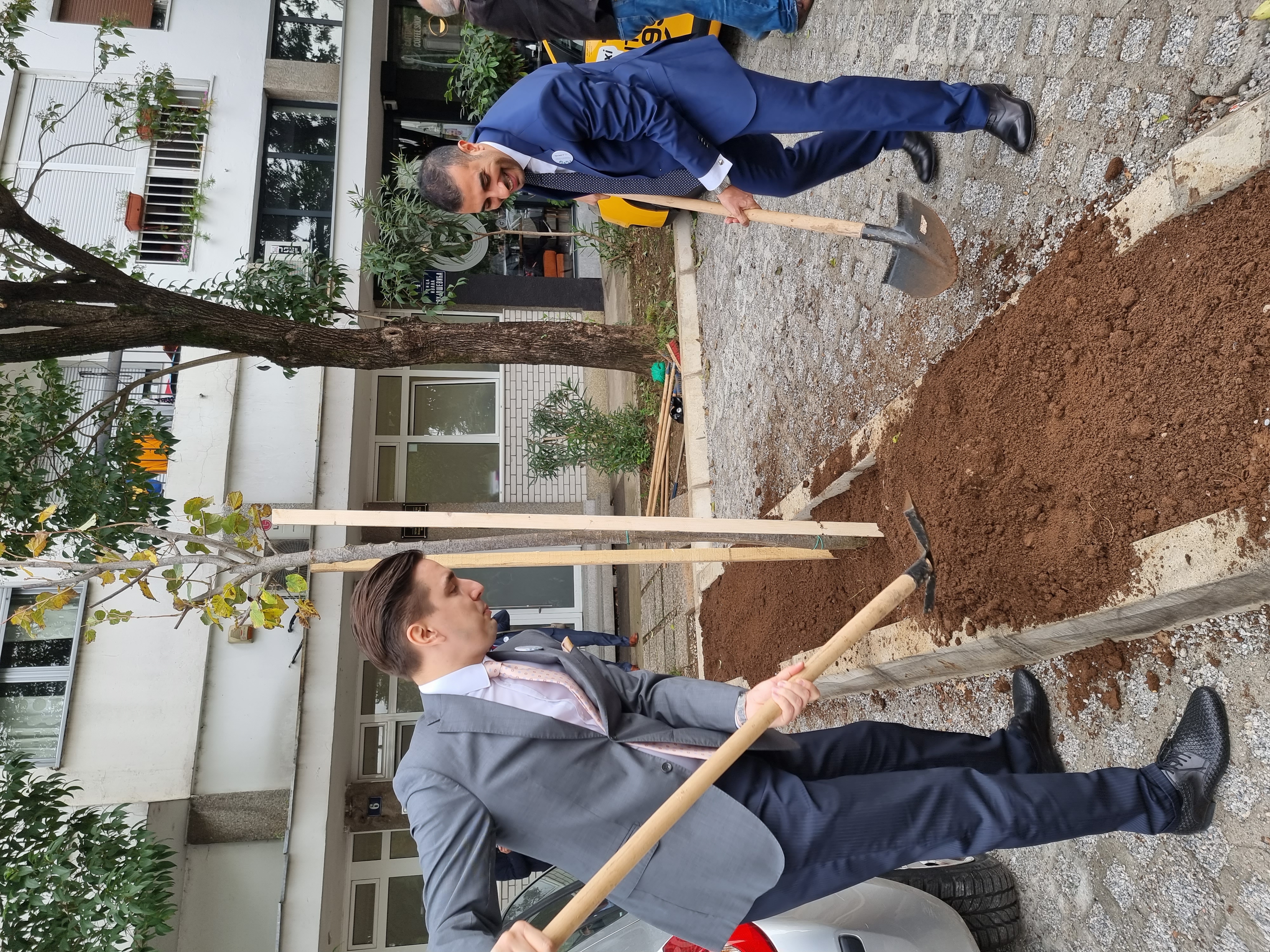 Kroz program finansiranja zelene ekonomije Zapadnog Balkana u Podgorici zasađeno 10 stabala lipe