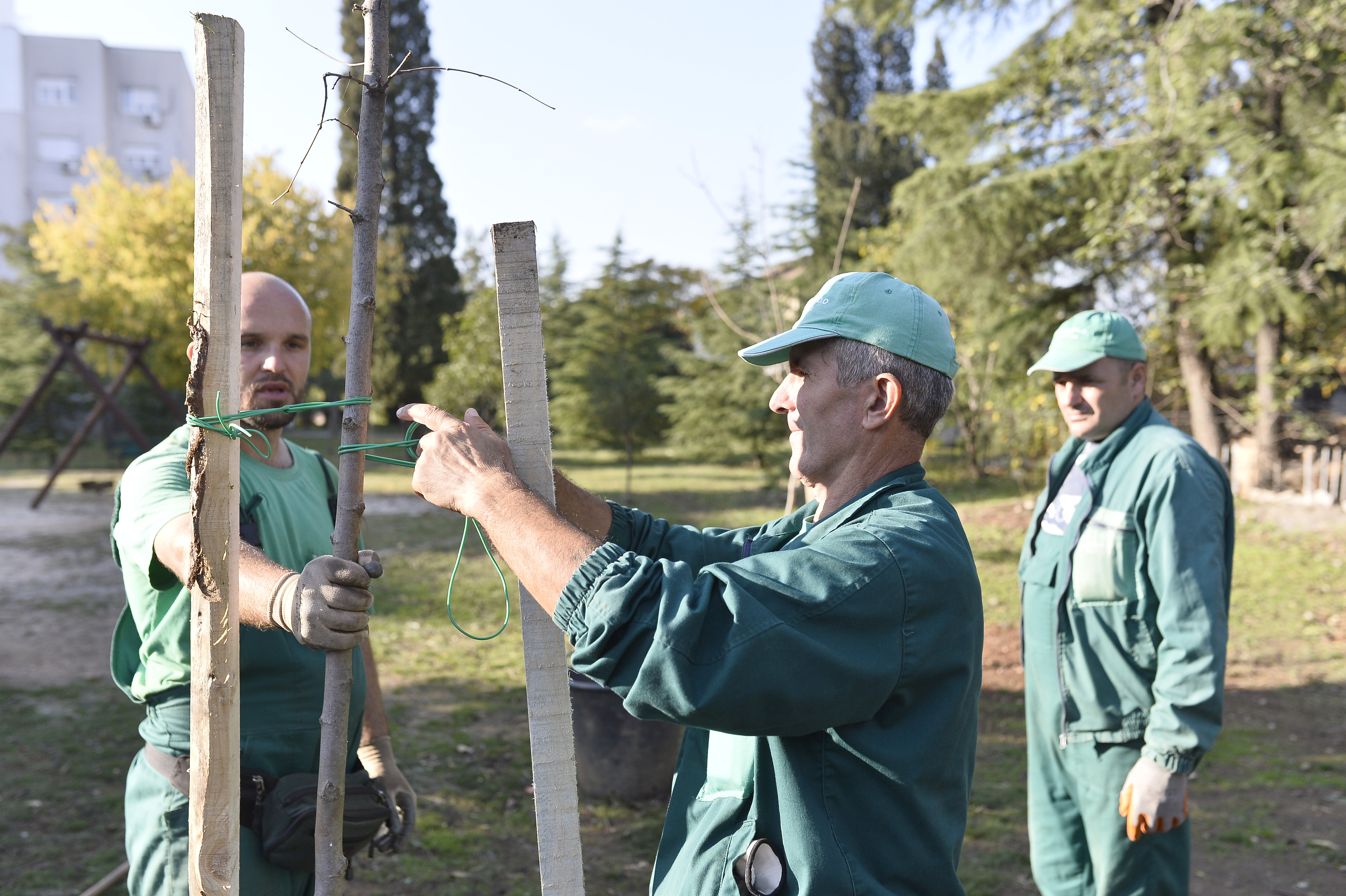 Glavni grad u čast Republike Zabjelo simbolično zasadio 30 sadnica u Ulici Radosava Burića