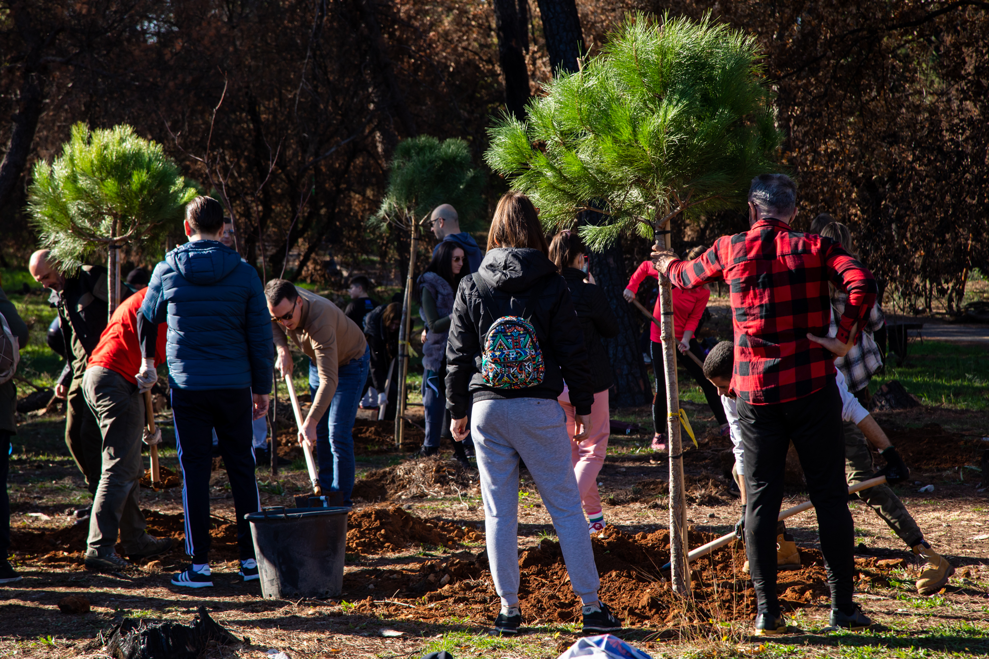 Uspješno realizovana akcija pošumljavanja; Vuković: 300 novih sadnica na Gorici i isto toliko razloga za ponos