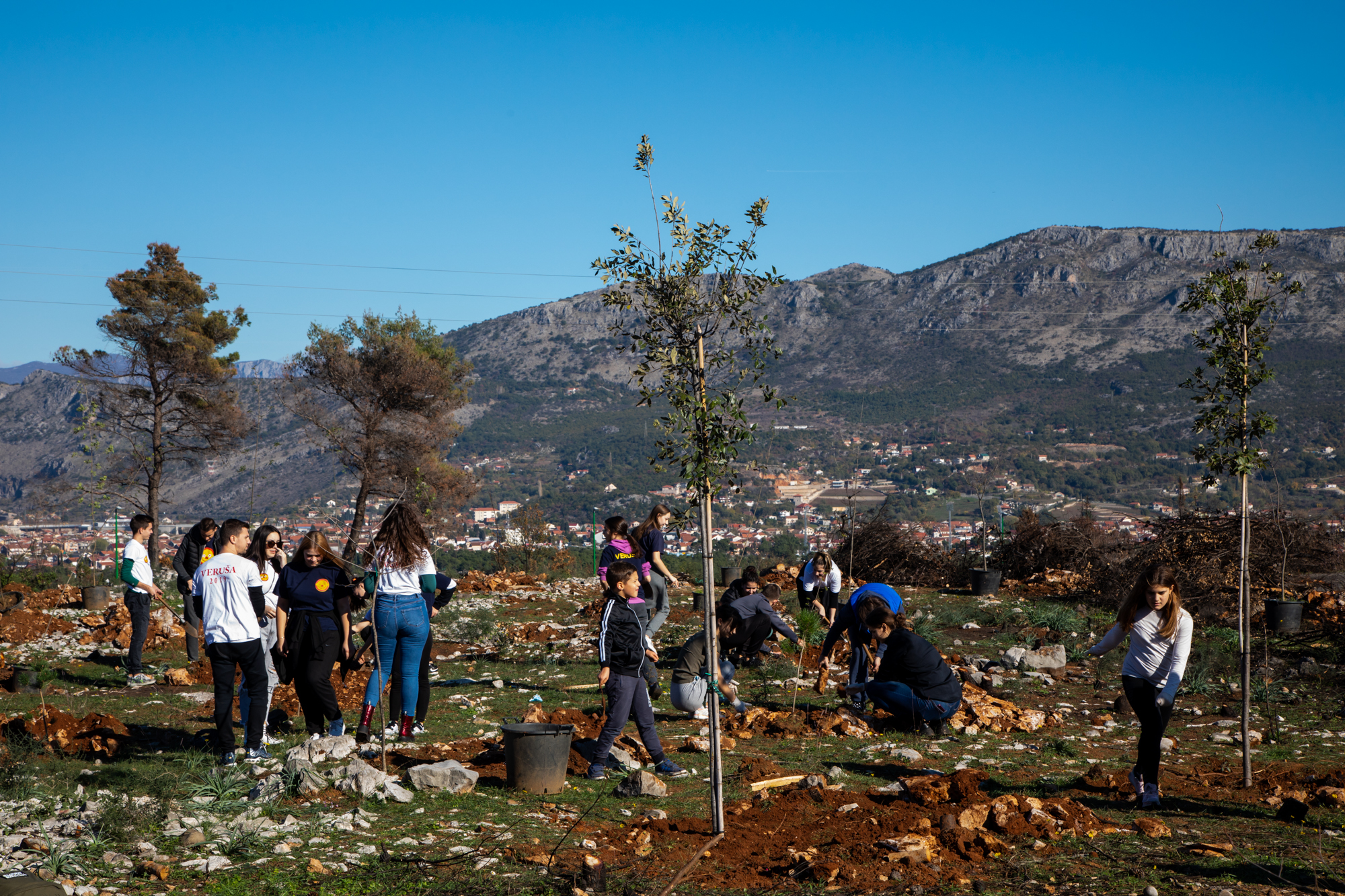Uspješno realizovana akcija pošumljavanja; Vuković: 300 novih sadnica na Gorici i isto toliko razloga za ponos