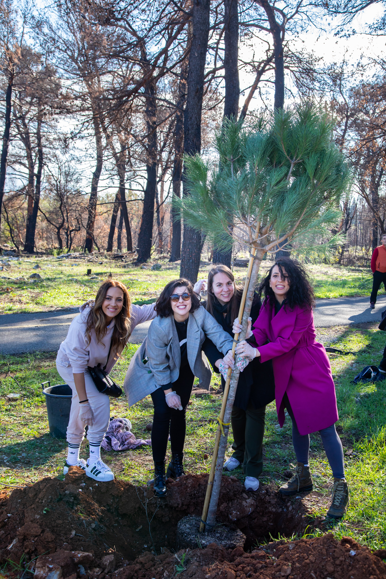 Uspješno realizovana akcija pošumljavanja; Vuković: 300 novih sadnica na Gorici i isto toliko razloga za ponos