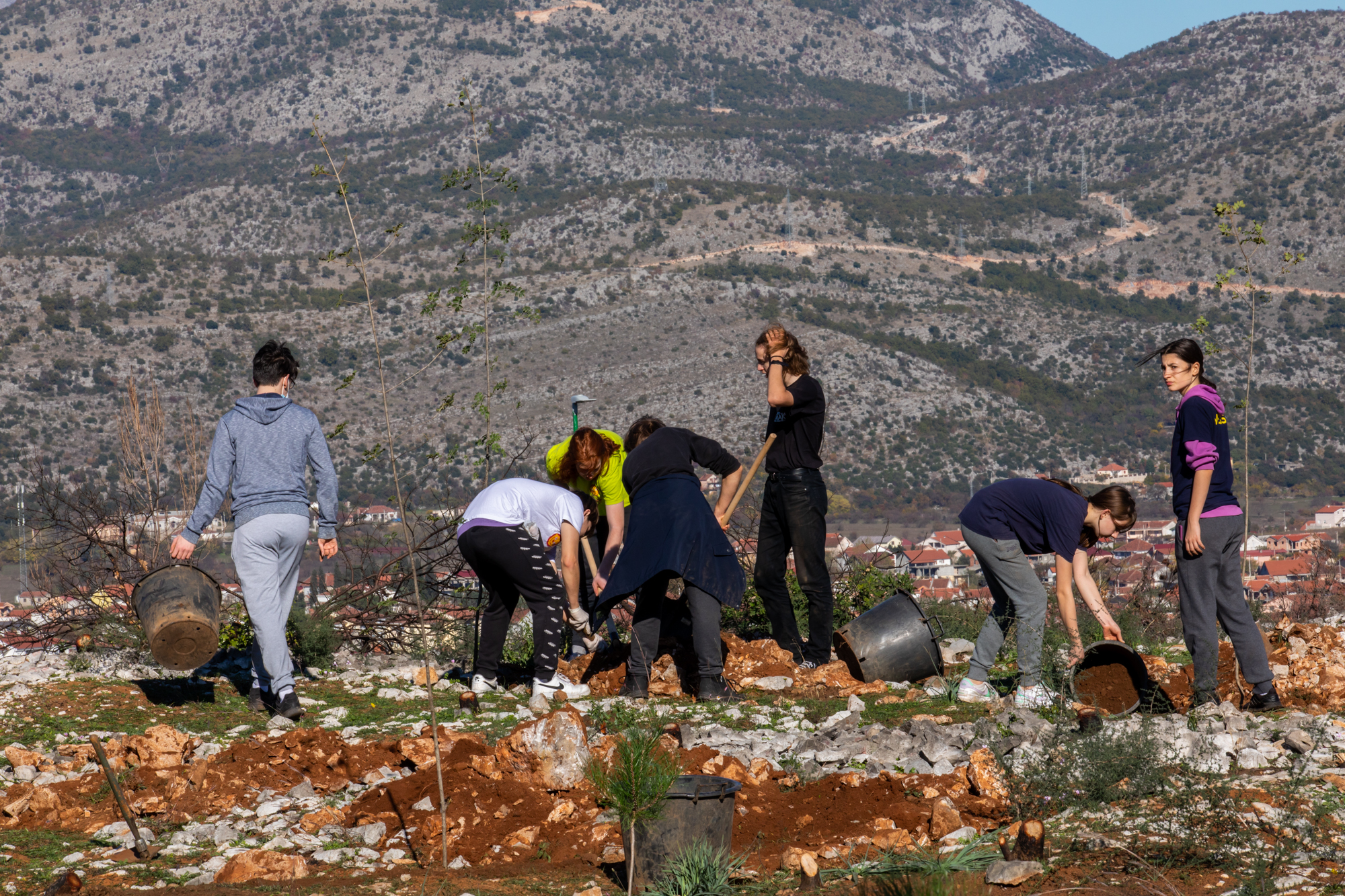 Uspješno realizovana akcija pošumljavanja; Vuković: 300 novih sadnica na Gorici i isto toliko razloga za ponos