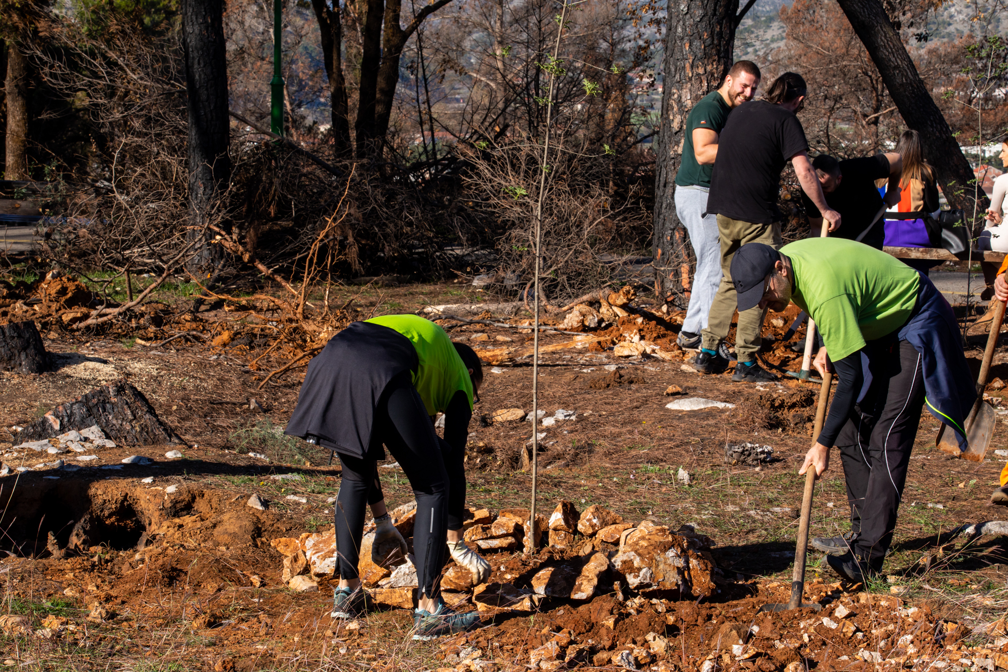Uspješno realizovana akcija pošumljavanja; Vuković: 300 novih sadnica na Gorici i isto toliko razloga za ponos