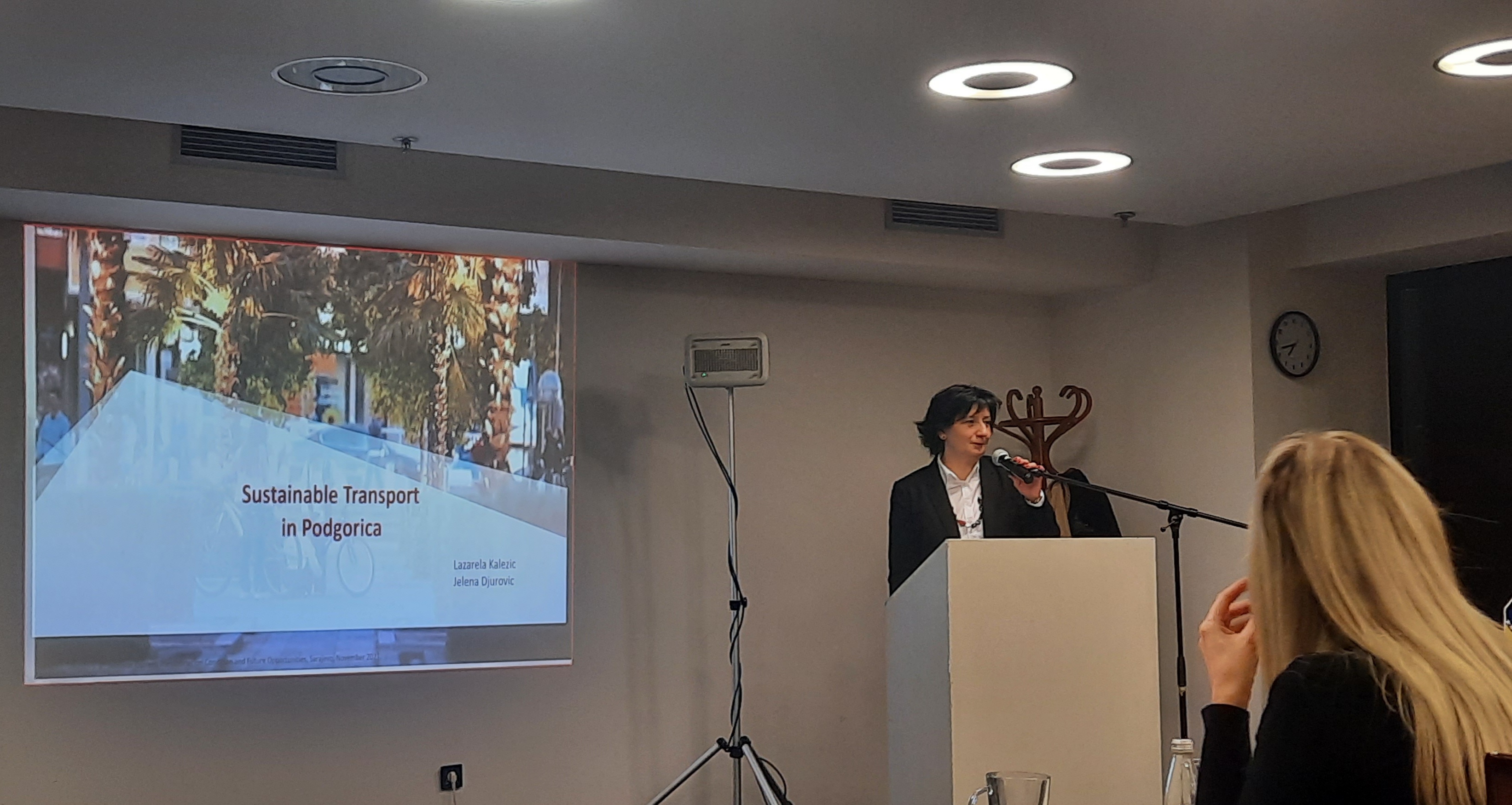 Sa kolegama iz regiona analizirali aktuelne izazove u saobraćaju i pravce njegovog daljeg razvoja