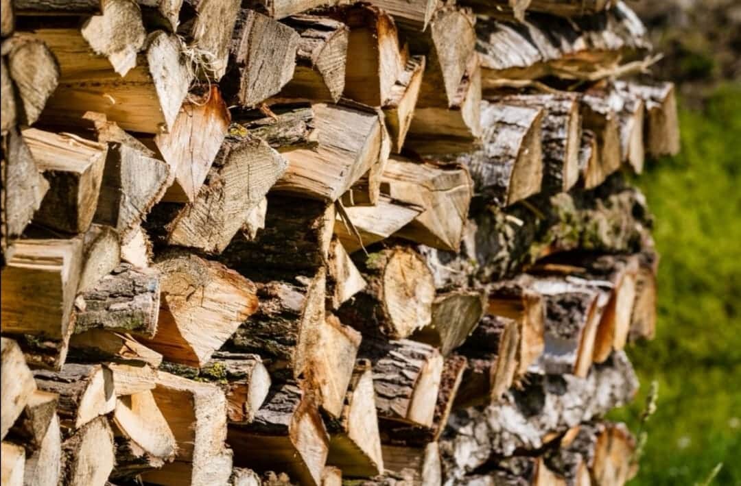 Određene lokacije za prodaju i kupovinu drva za ogrijev