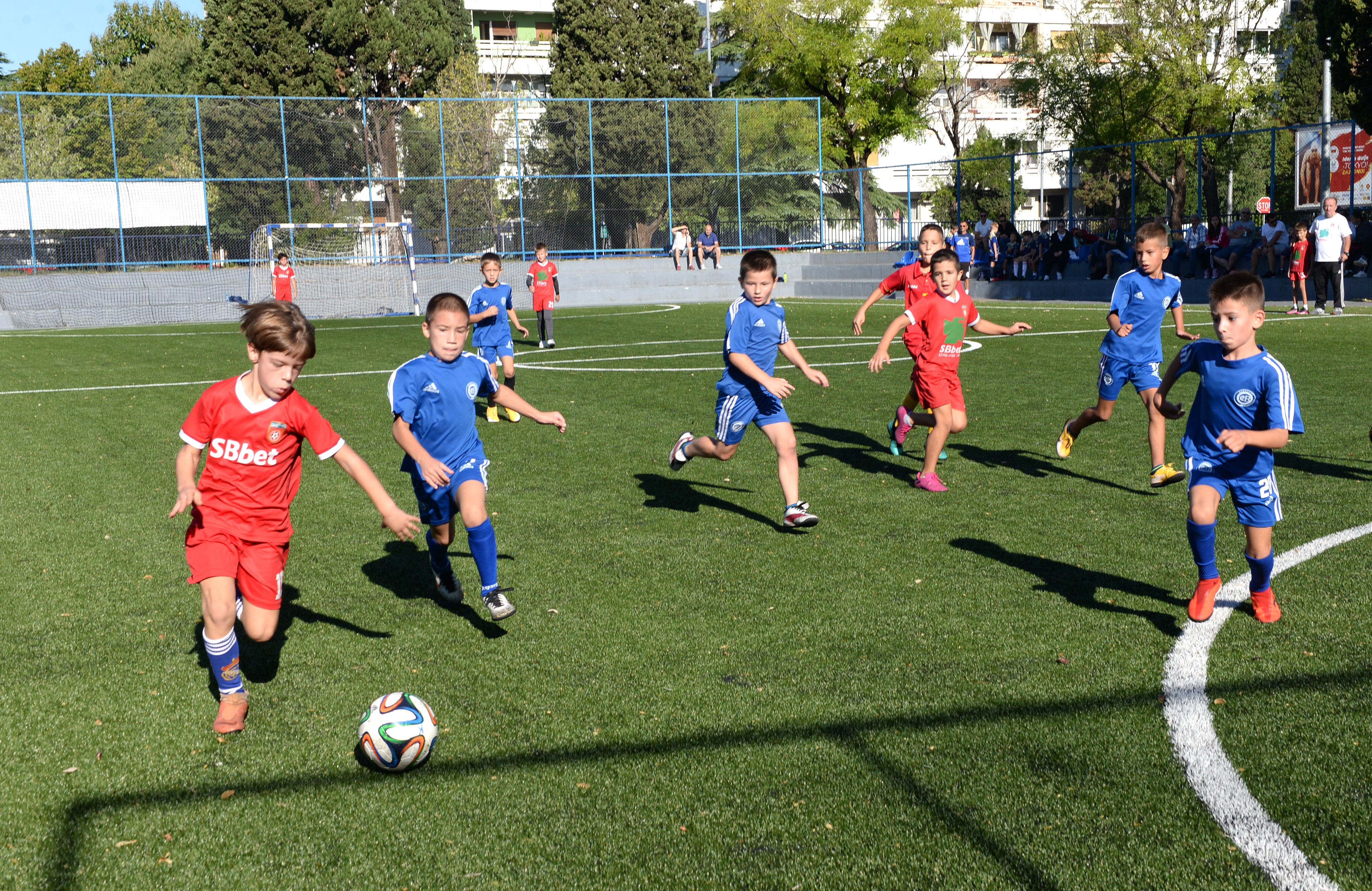 Decembar u znaku sporta