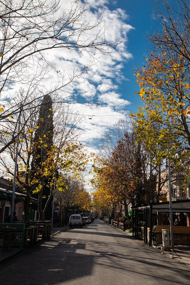 Počela rekonstrukcija Njegoševe ulice; Vuković: Ispunjavamo obećanje i centru grada vraćamo stari sjaj