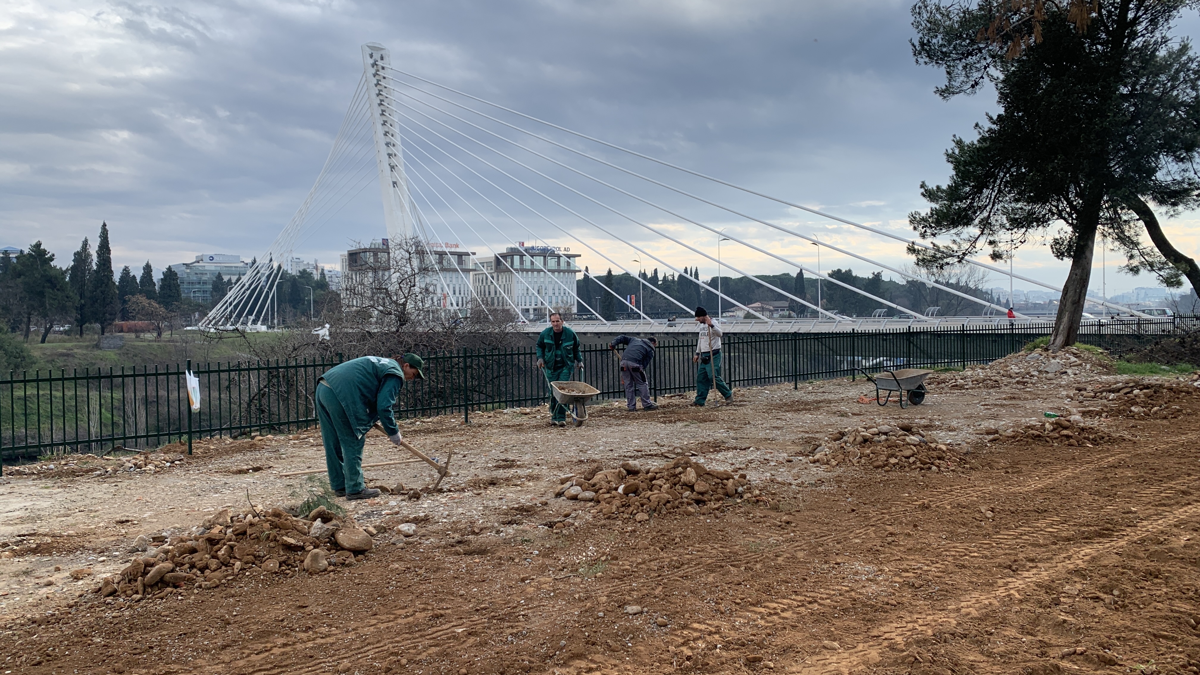 Uskoro novi zeleni pojas u okviru parkinga na Bulevaru Jovana Tomaševića