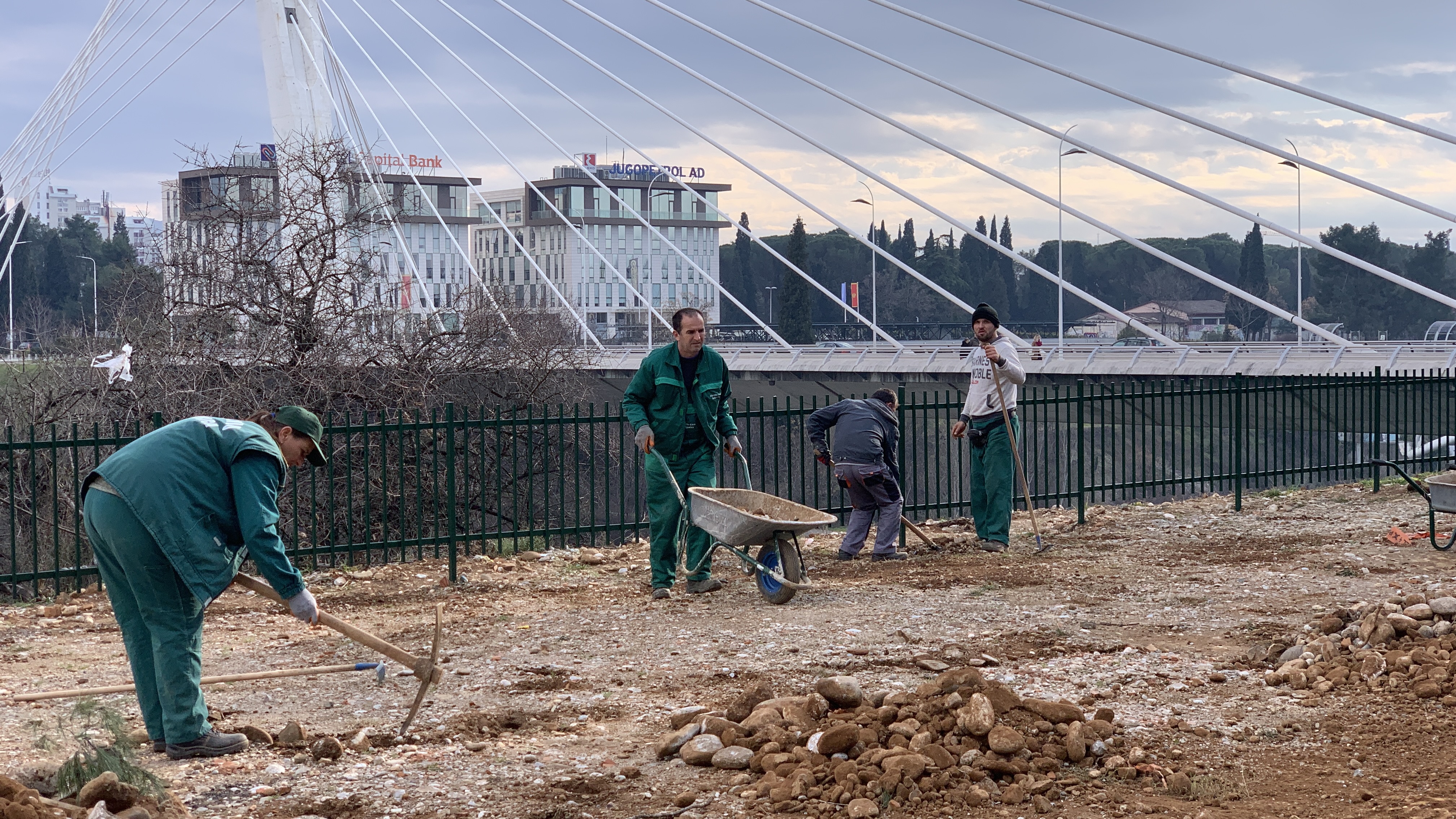 Uskoro novi zeleni pojas u okviru parkinga na Bulevaru Jovana Tomaševića