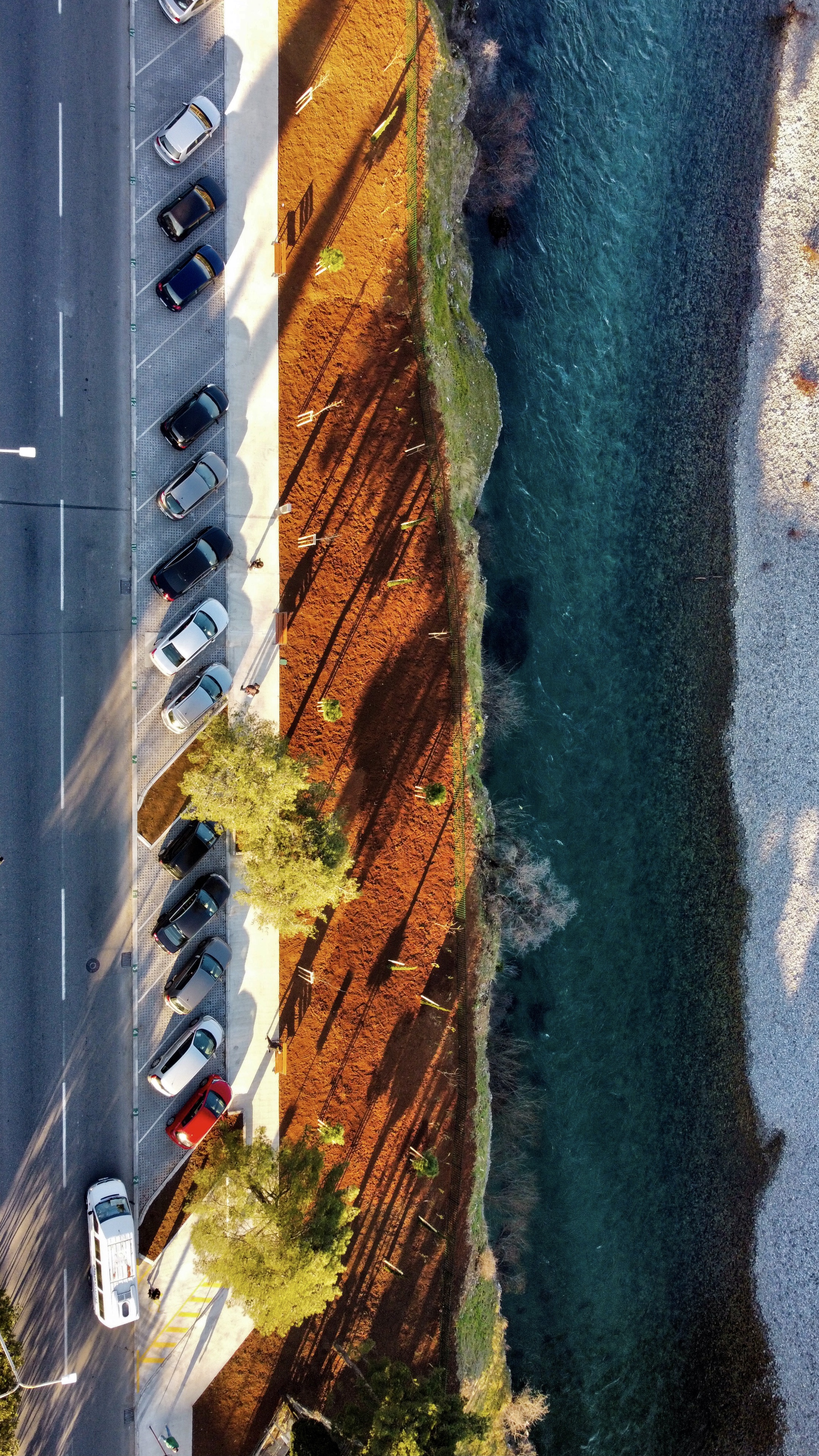 Završeno pejzažno uređenje površine prekoputa Ekonomskog fakulteta