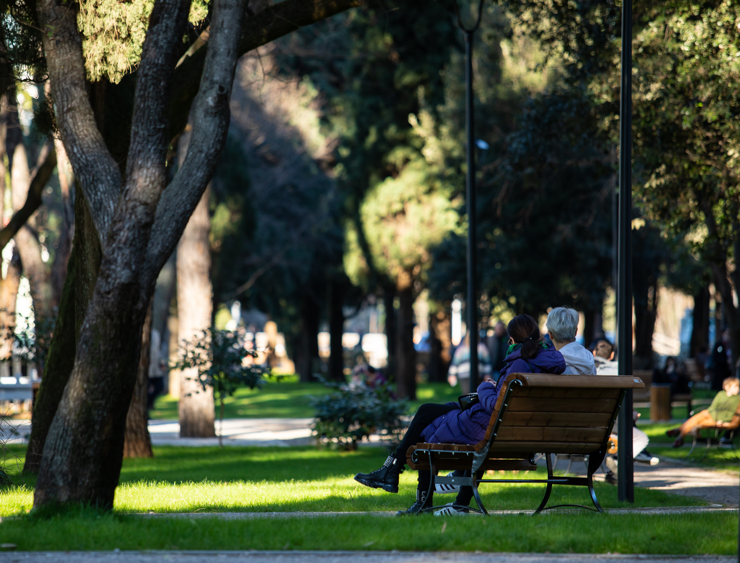 Podgorica za kratak vremenski period postala prepoznatljiva po zelenim površinama; Zeleni projekti i u ovoj godini visoko na listi prioriteta