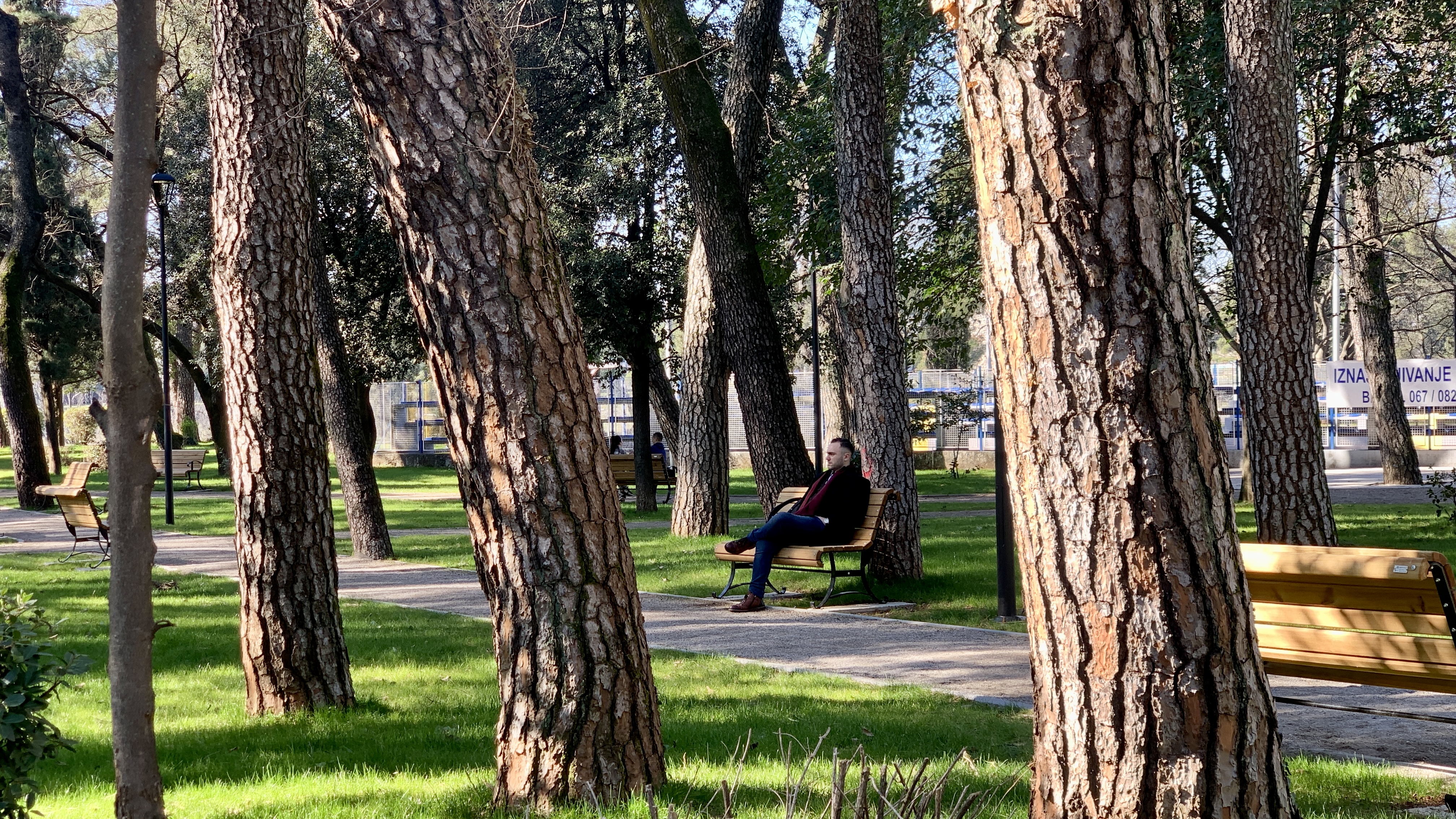 Podgorica za kratak vremenski period postala prepoznatljiva po zelenim površinama; Zeleni projekti i u ovoj godini visoko na listi prioriteta