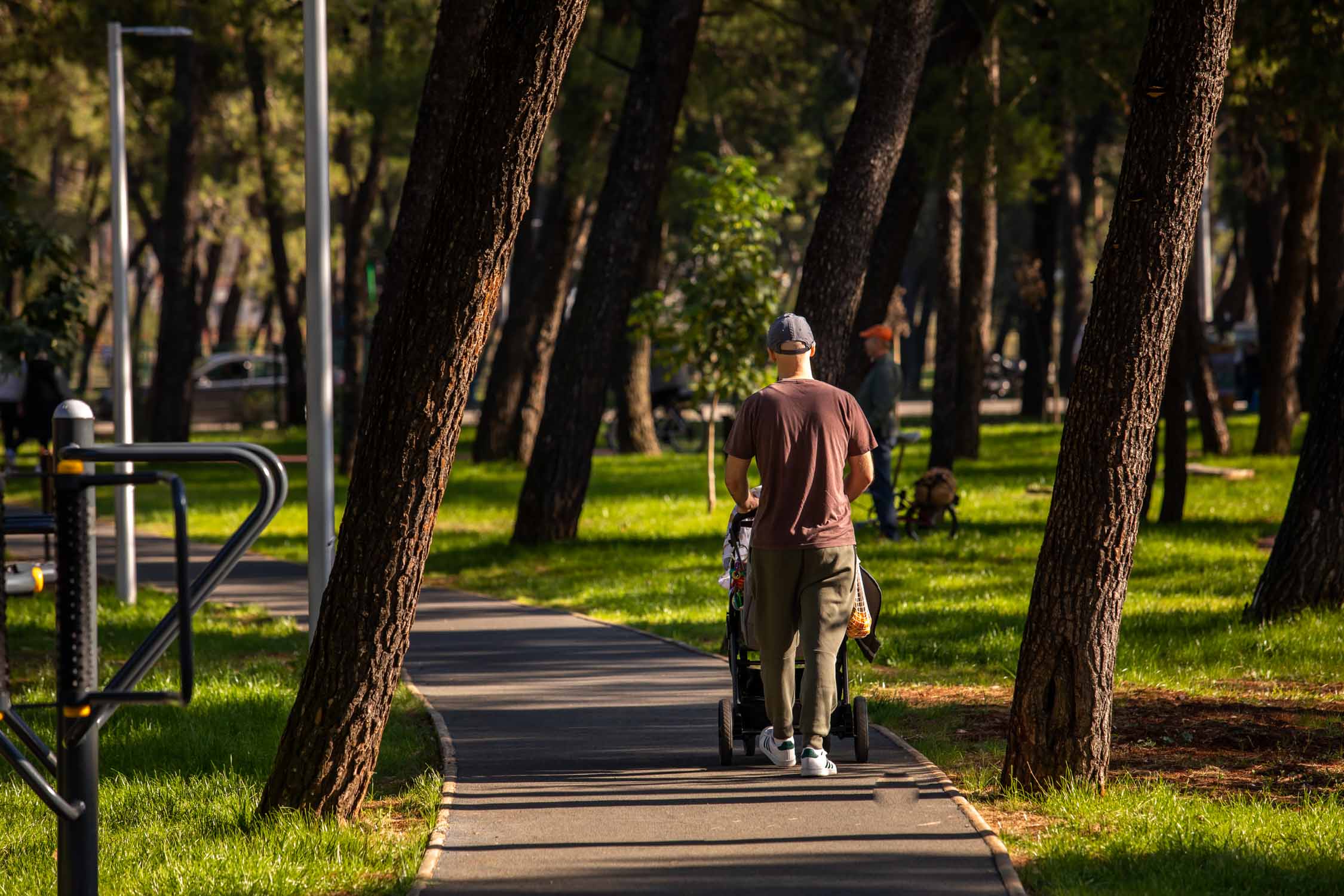 Podgorica za kratak vremenski period postala prepoznatljiva po zelenim površinama; Zeleni projekti i u ovoj godini visoko na listi prioriteta