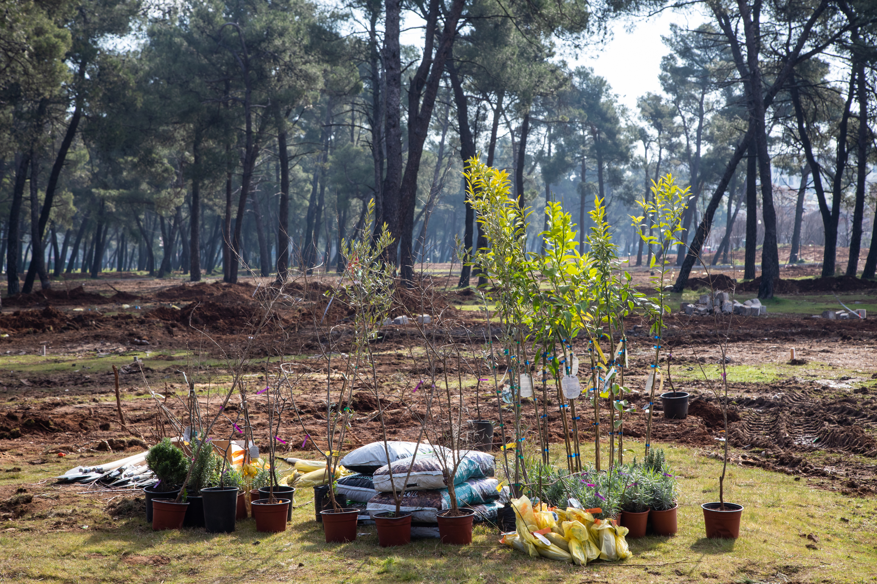 Realizovana prva akcija sadnje u okviru projekta Urbane bašte