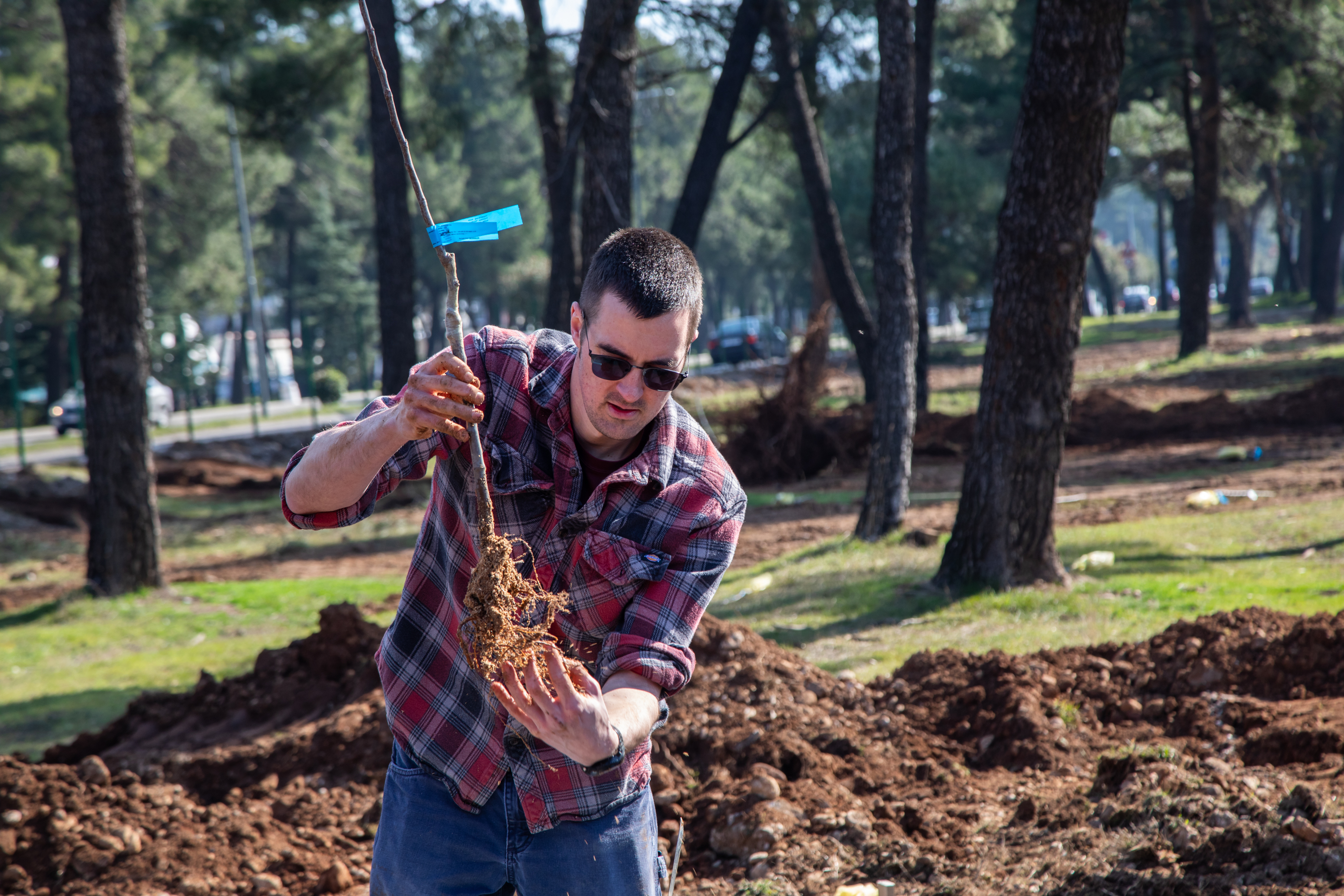 Realizovana prva akcija sadnje u okviru projekta Urbane bašte