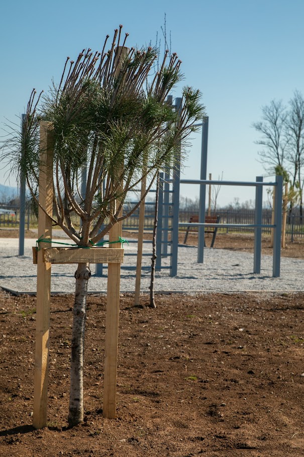 Vuković: Zahvaljujući brojnim vrijednim projektima nastavlja se dinamičan razvoj Zete